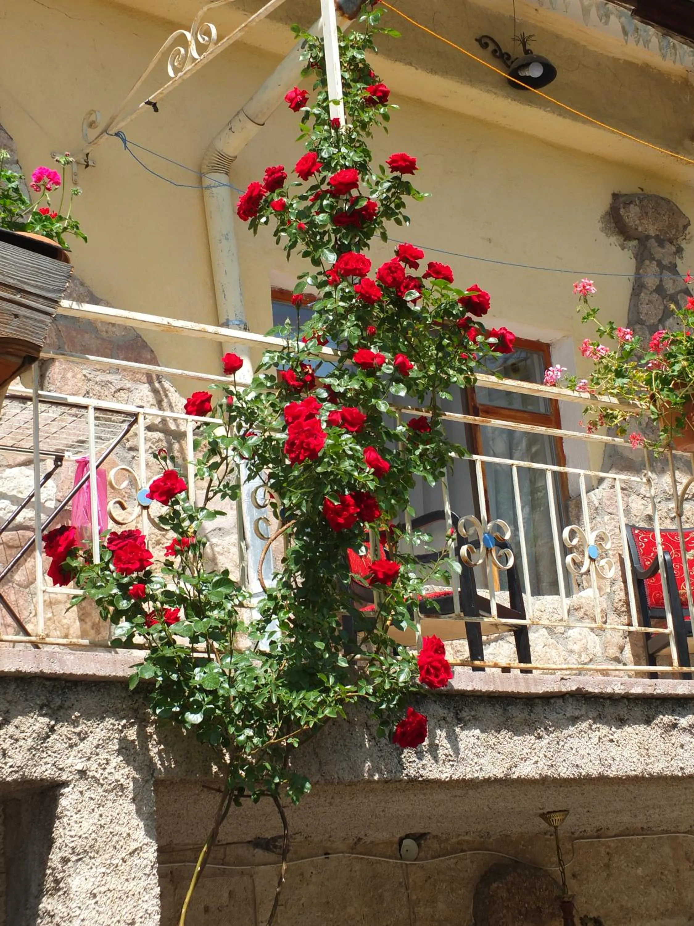 City view in Anatolia cave hotel Pension