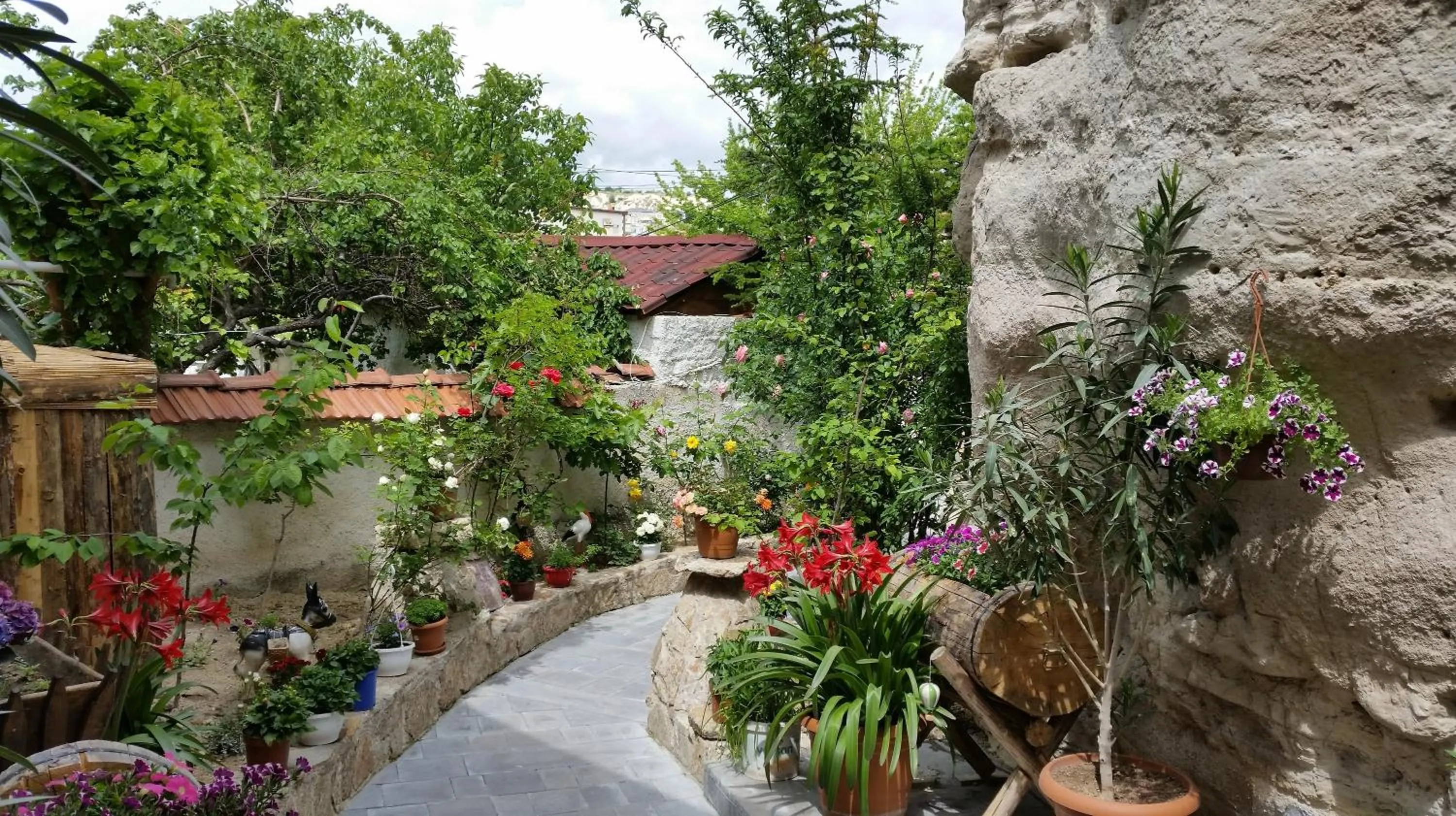 Garden view in Anatolia cave hotel Pension