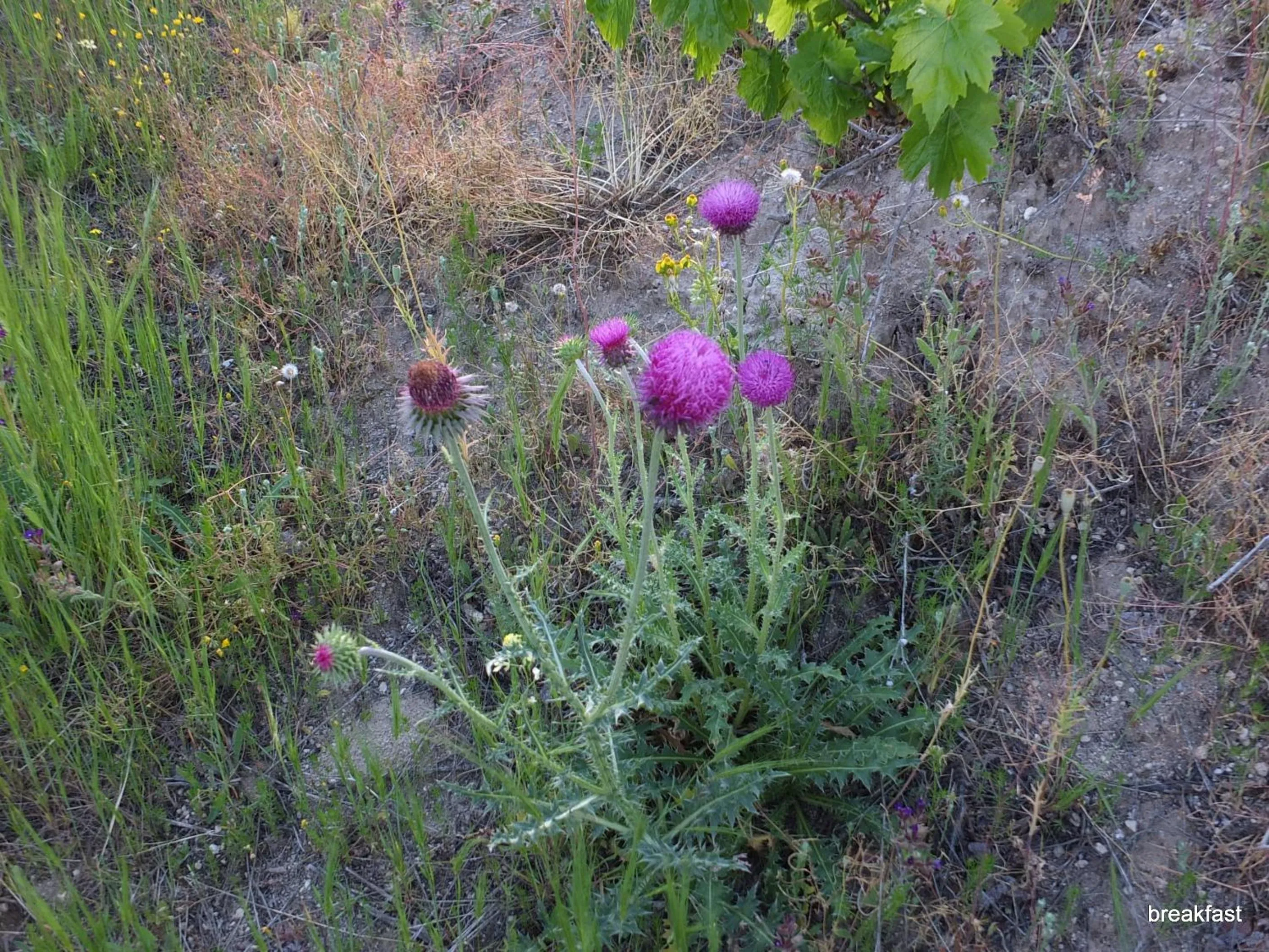 Natural landscape in Anatolia cave hotel Pension