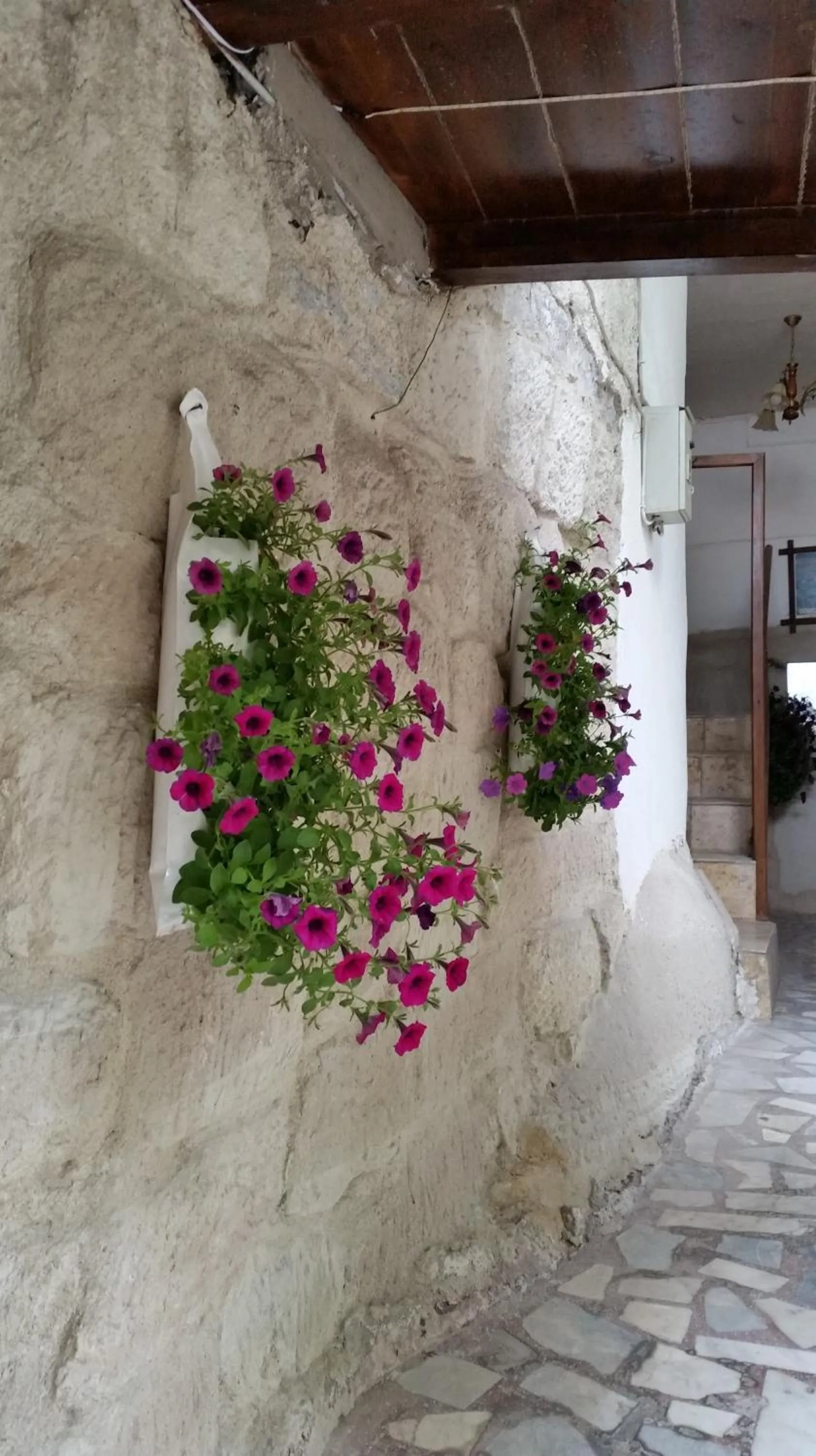 Garden in Anatolia cave hotel Pension