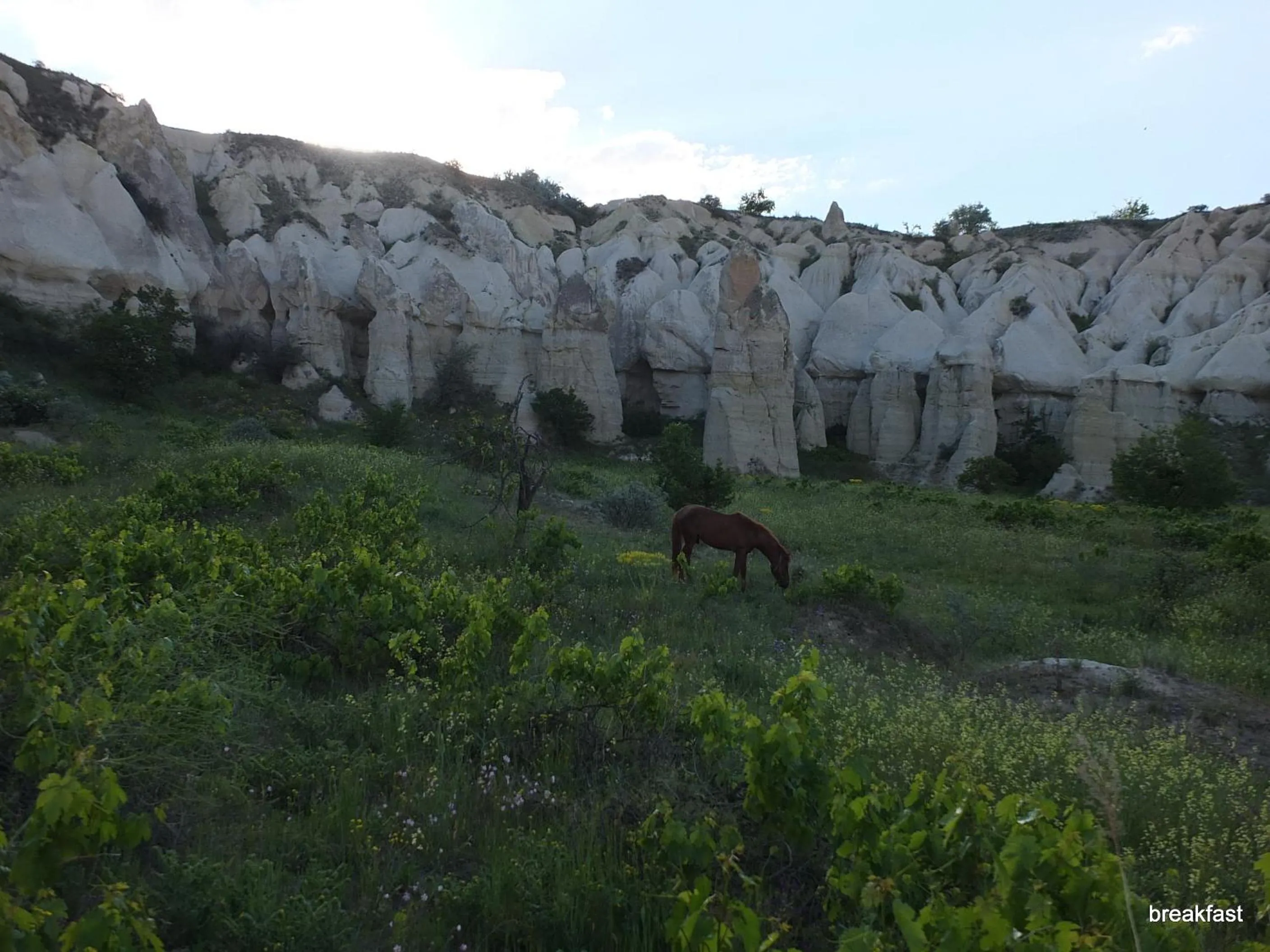 Natural landscape in Anatolia cave hotel Pension