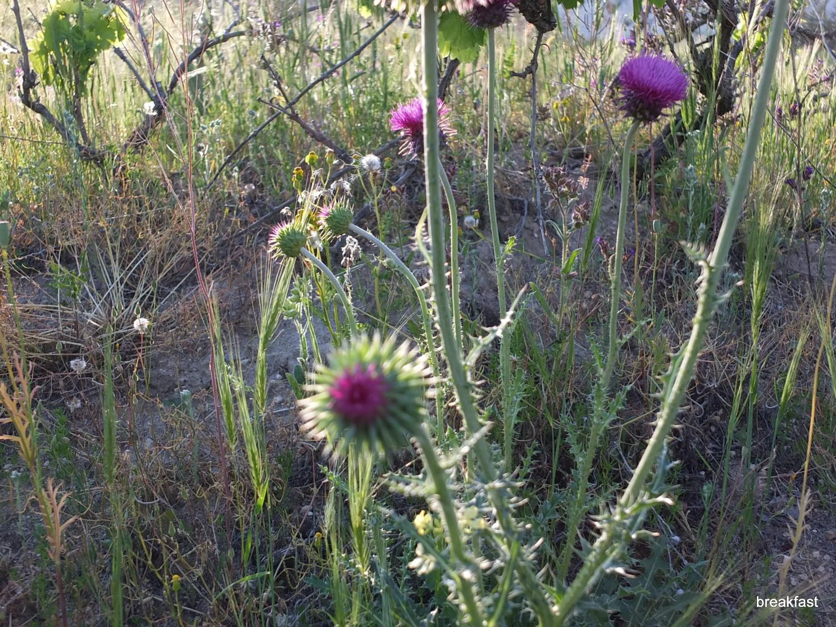 Natural landscape in Anatolia cave hotel Pension