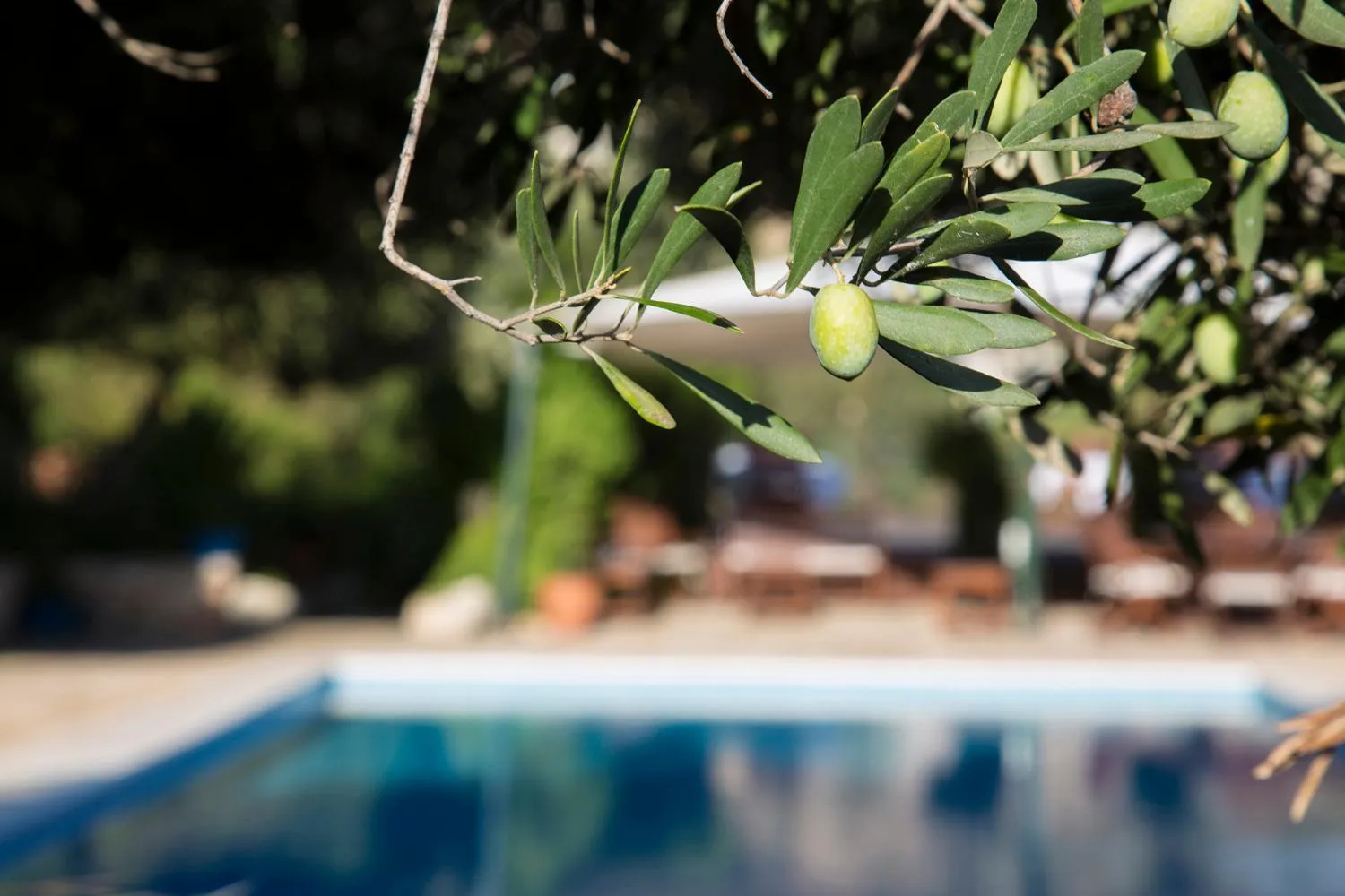 Decorative detail in Diva Residence Allsuite Hotel