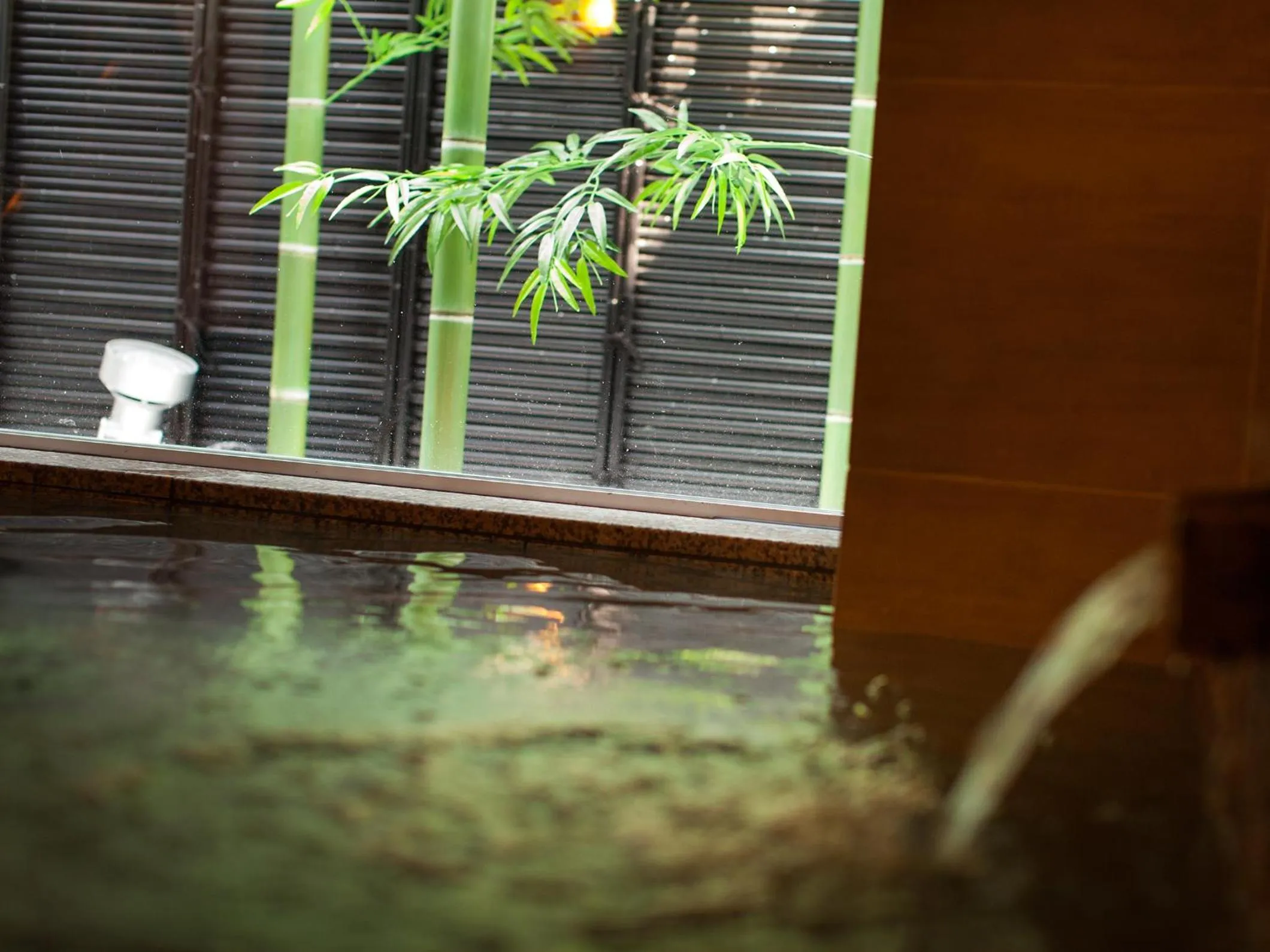 Hot Spring Bath in Super Hotel Shikoku-chuo