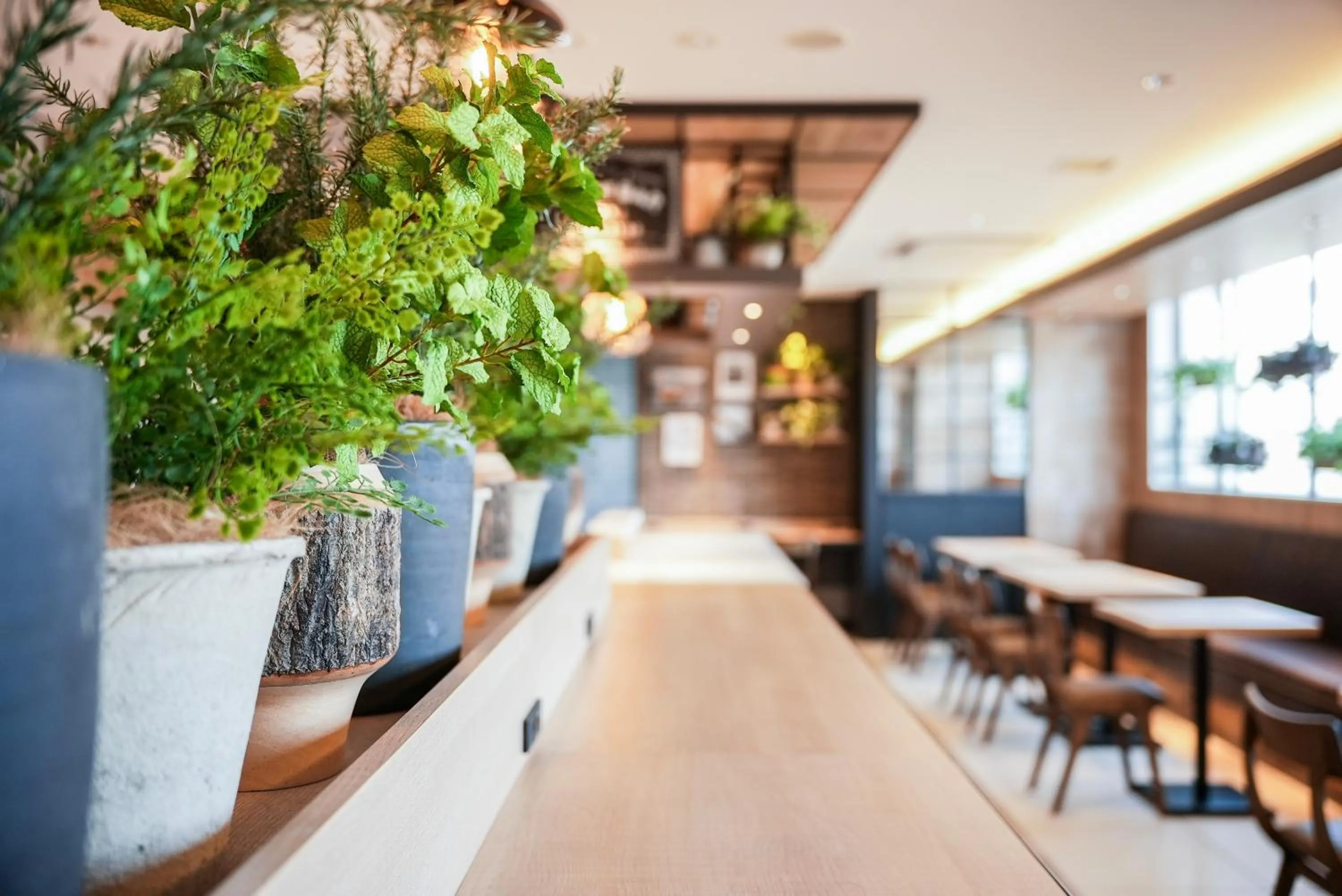 Seating area in Super Hotel Shikoku-chuo