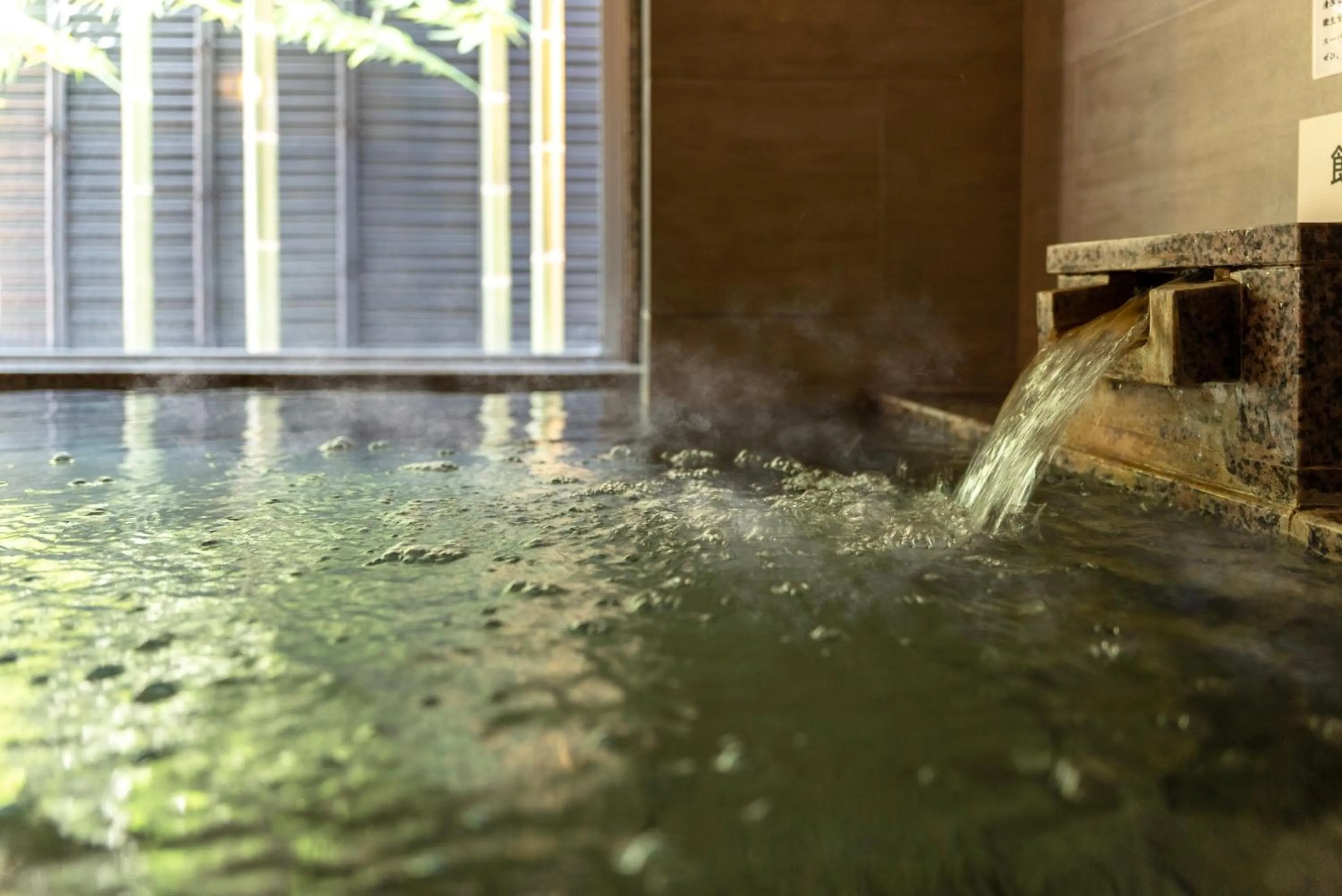 Hot Spring Bath in Super Hotel Shikoku-chuo