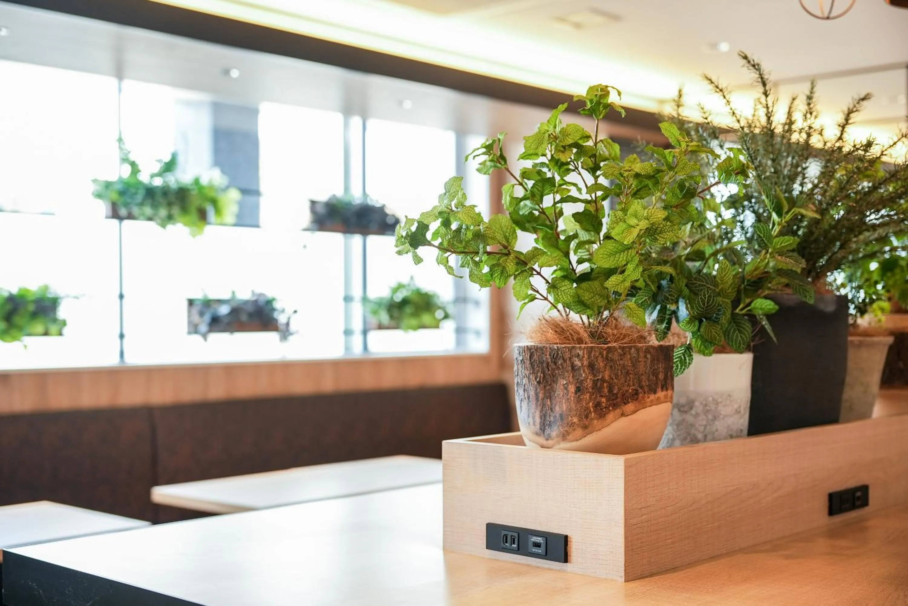 Seating area in Super Hotel Shikoku-chuo