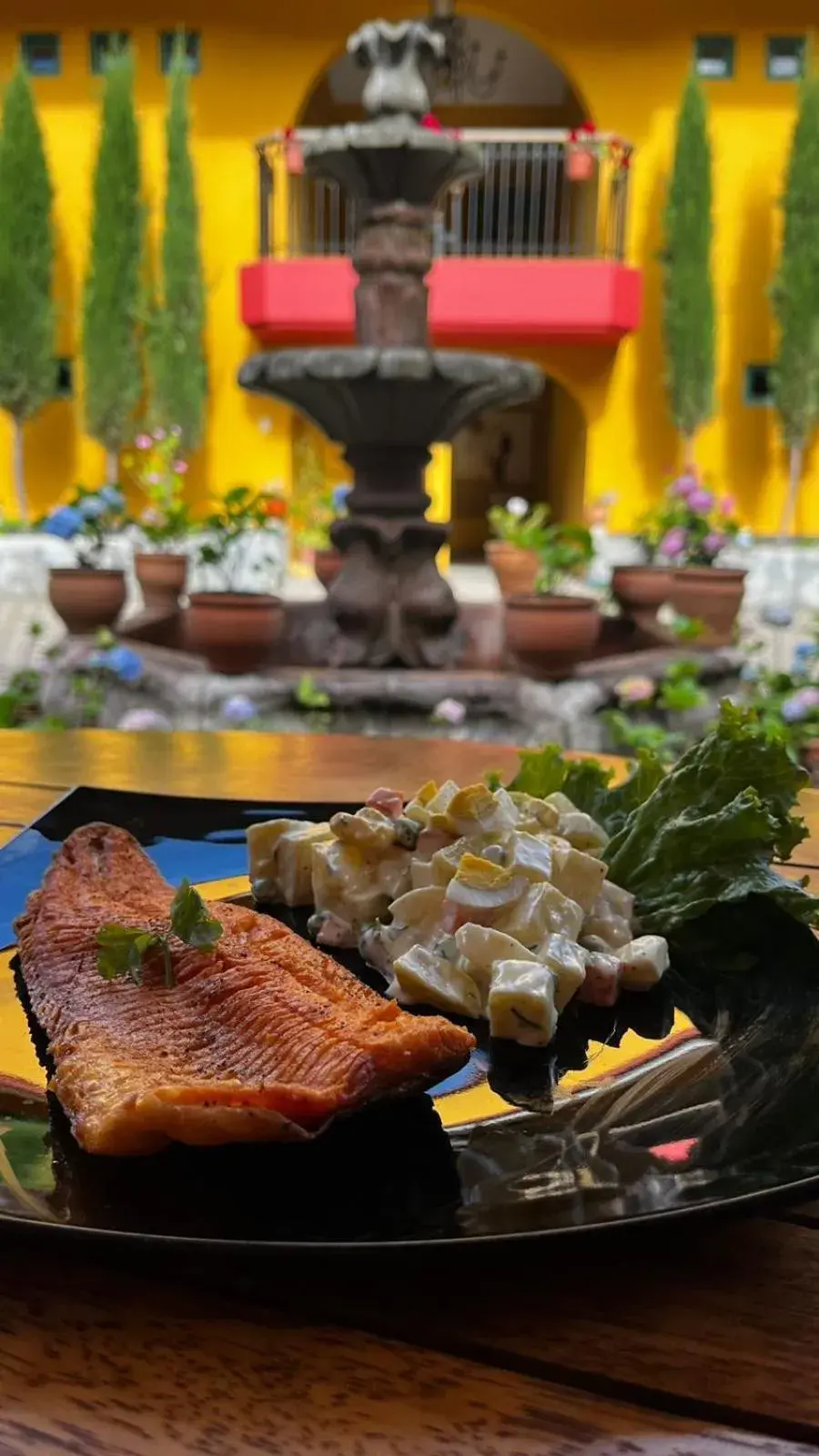 Restaurant/places to eat in Hotel Tartar Restaurant/places to eat in Hotel Tartar