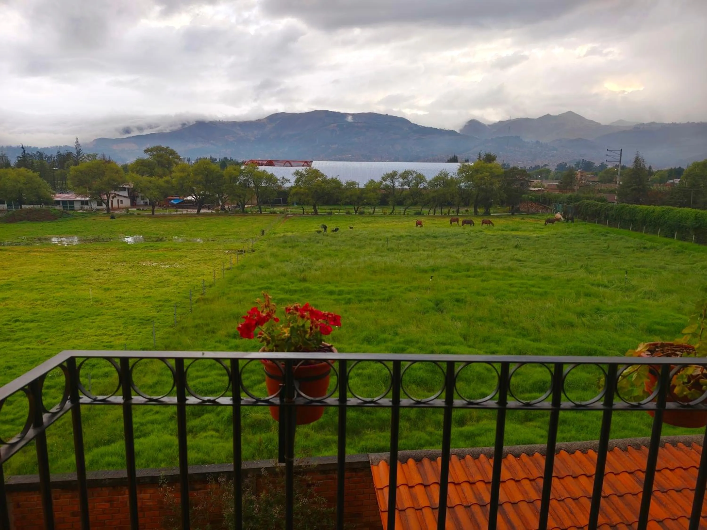 Natural landscape in Hotel Tartar