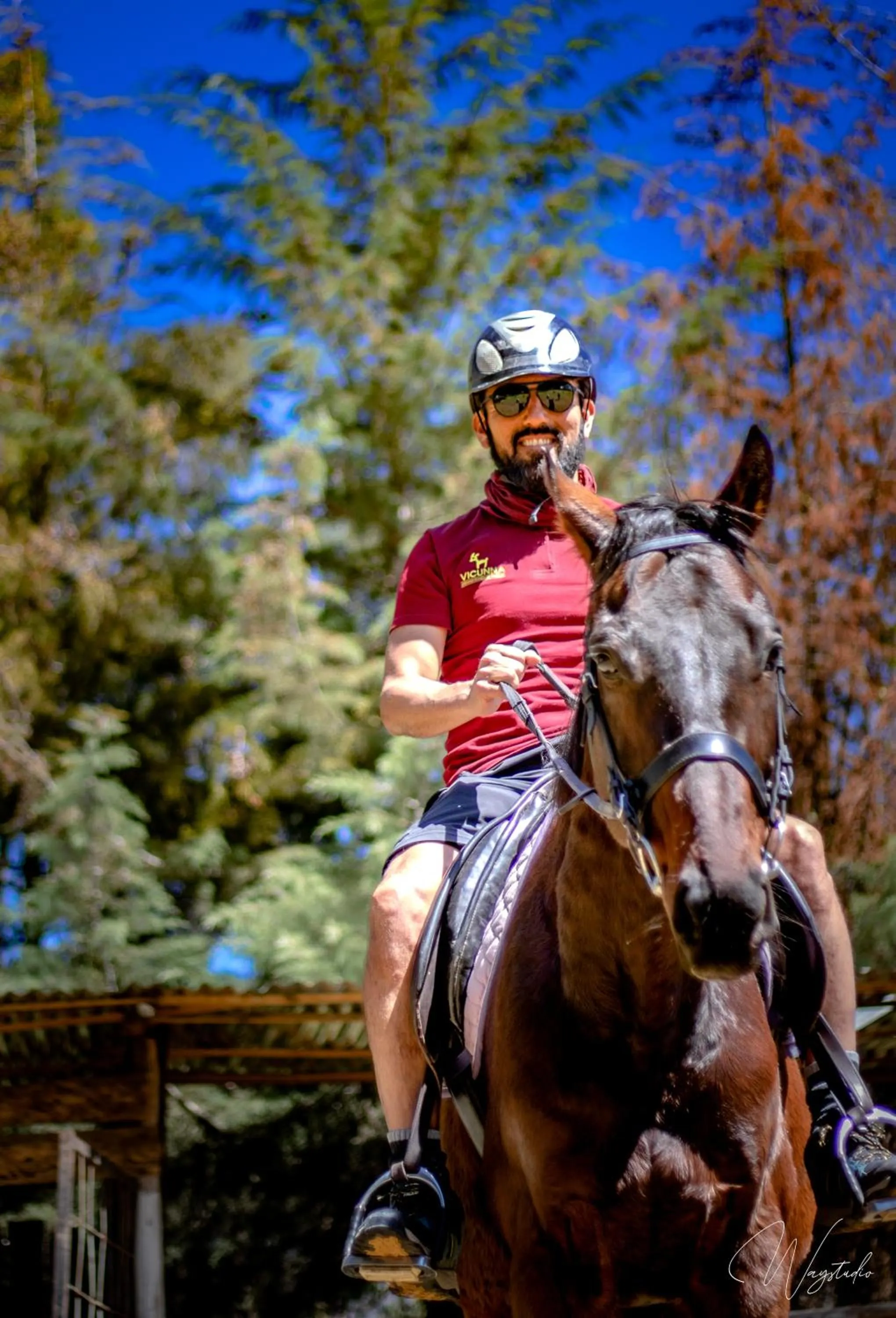 Sports in Hotel Tartar