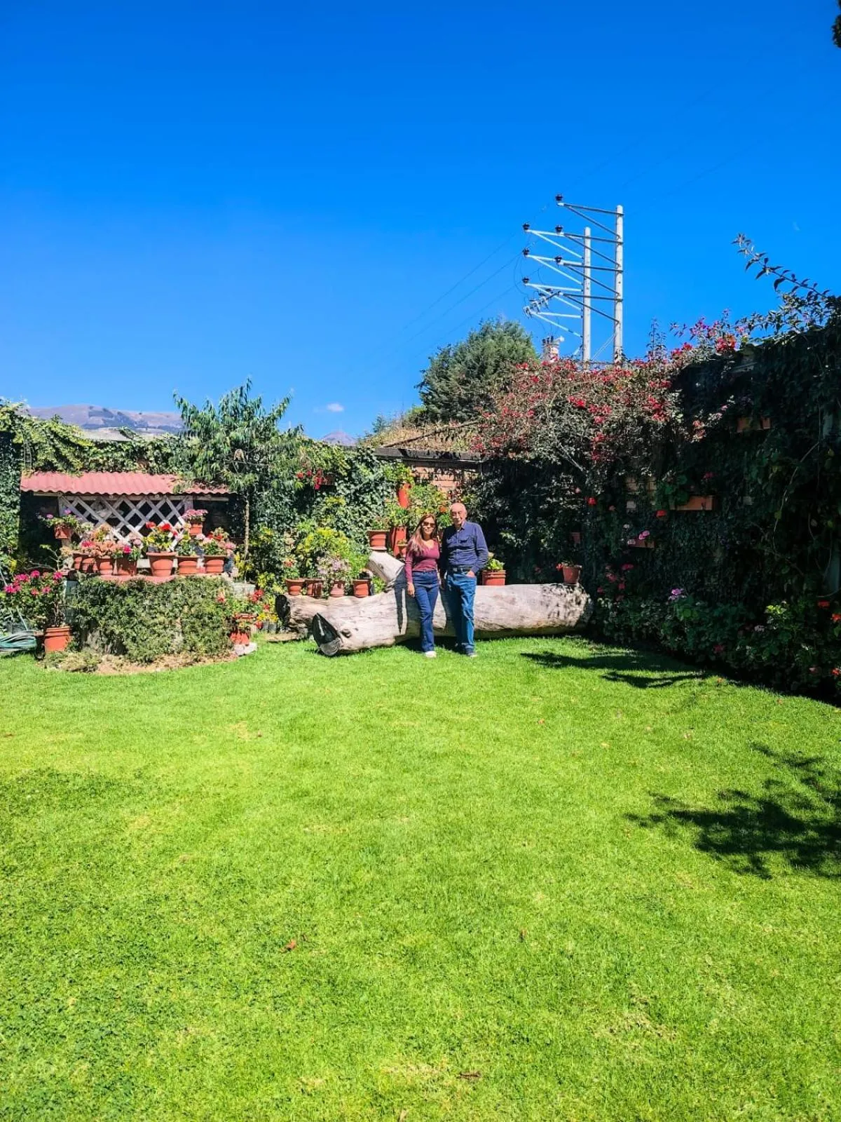 Natural landscape in Hotel Tartar