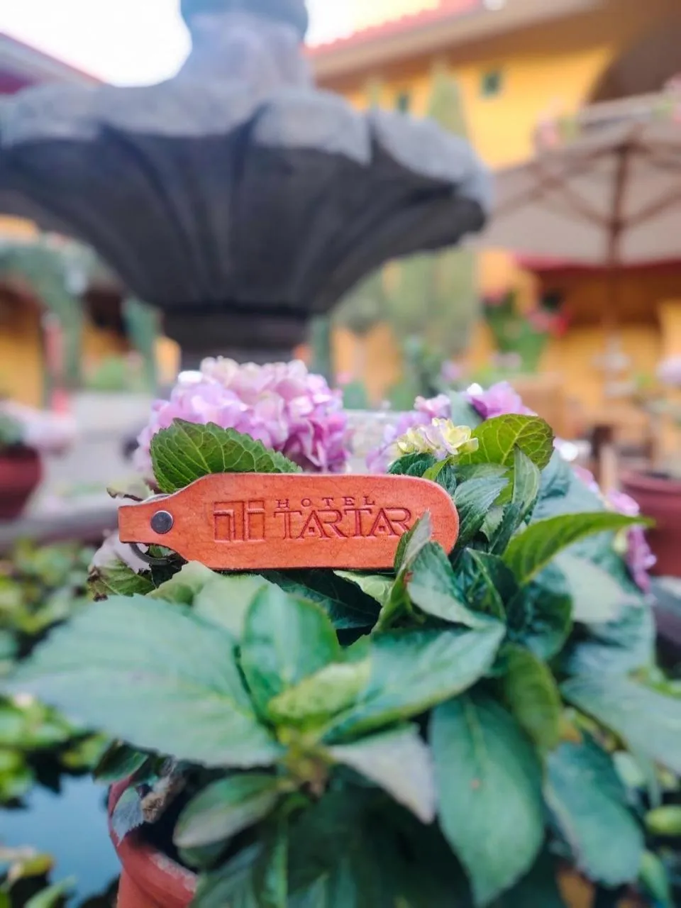 Patio in Hotel Tartar