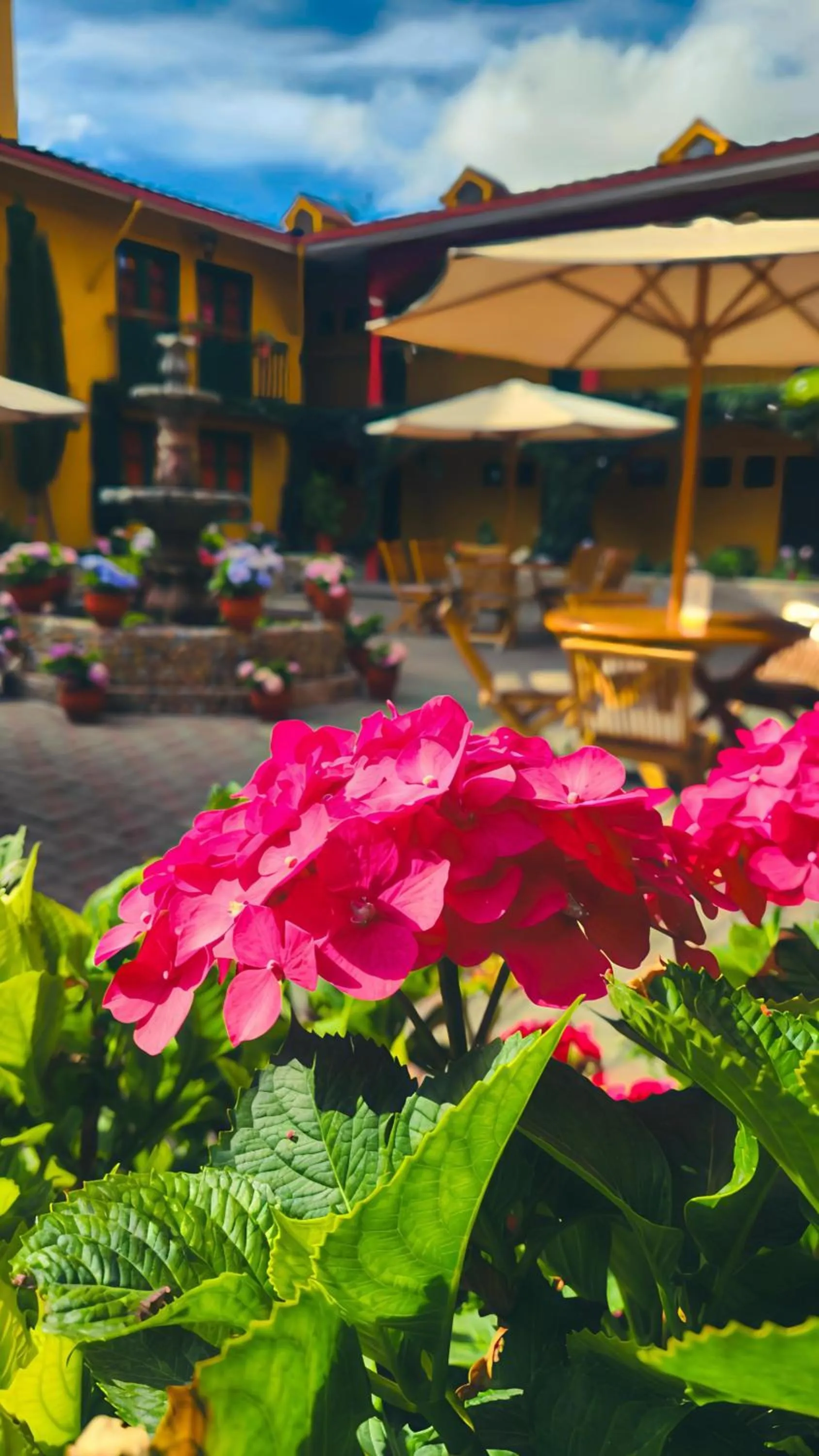 Balcony/Terrace in Hotel Tartar