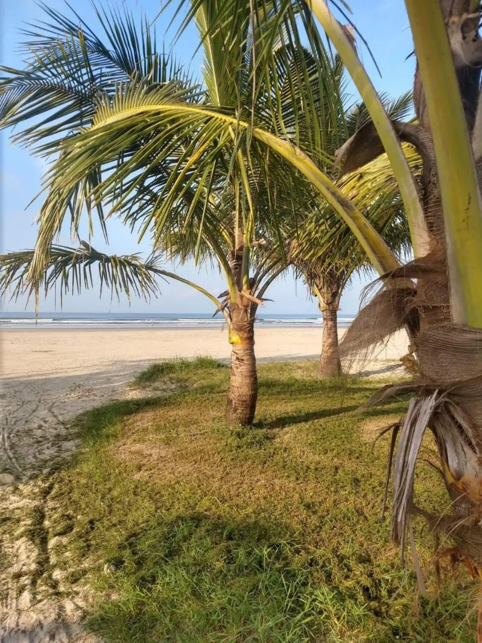Natural landscape in Oásis Pousada