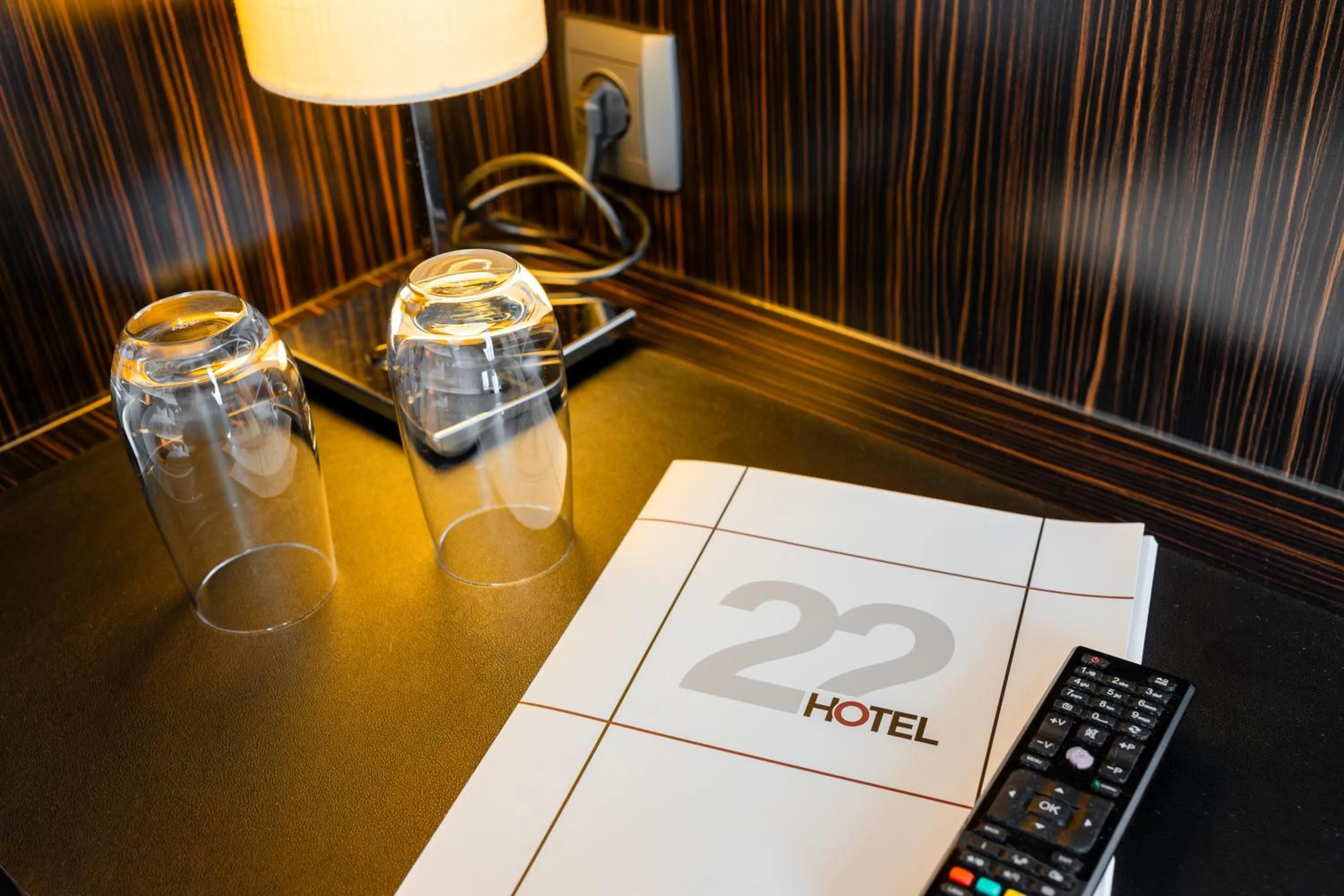 Photo of the whole room in Hotel 22