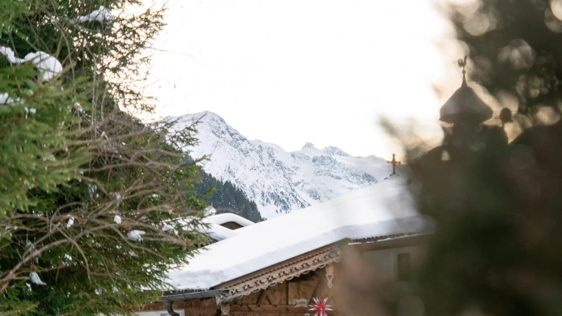 Natural landscape in Haus Ferchl