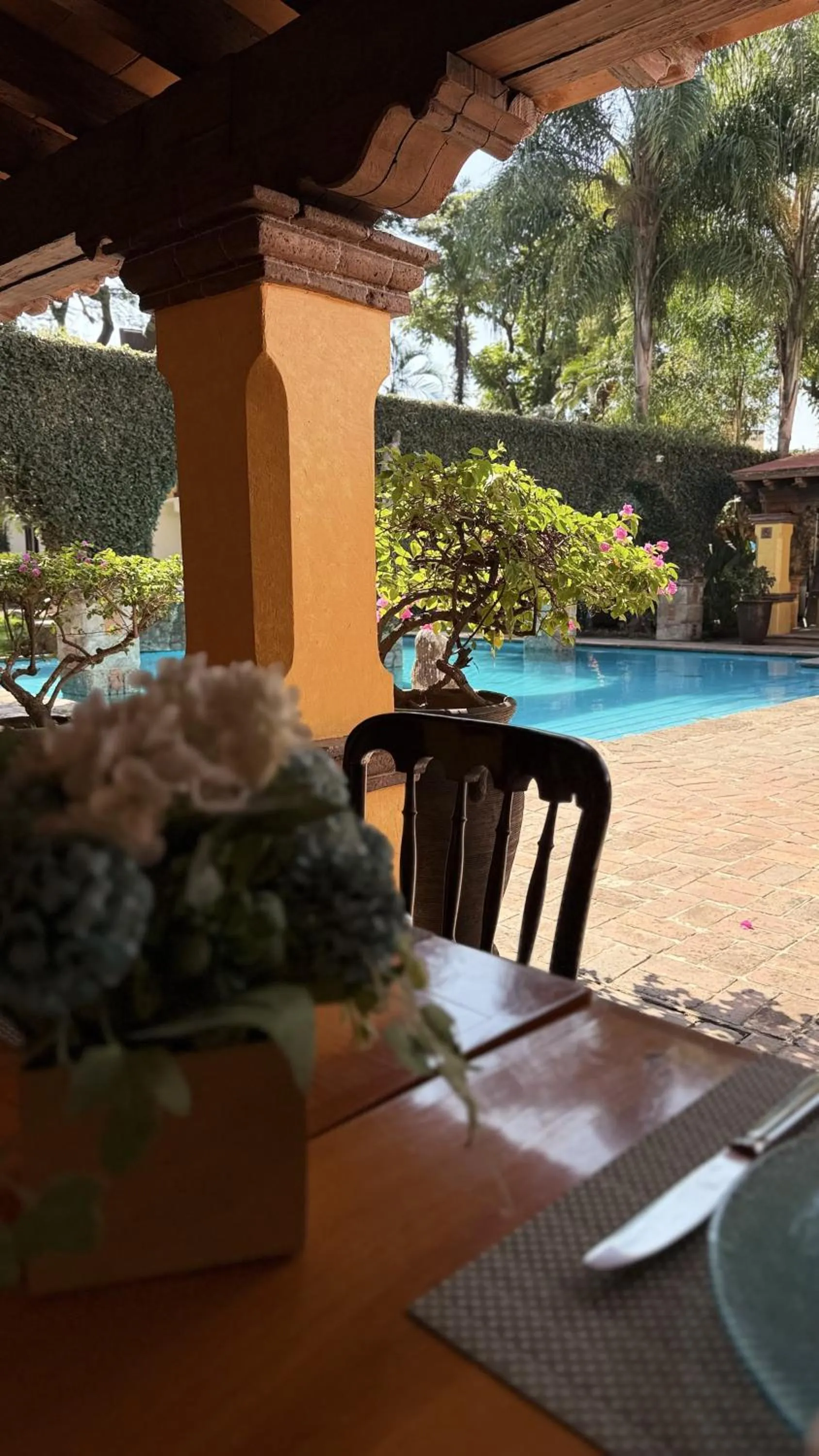 Pool view in La Joyita Cuernavaca