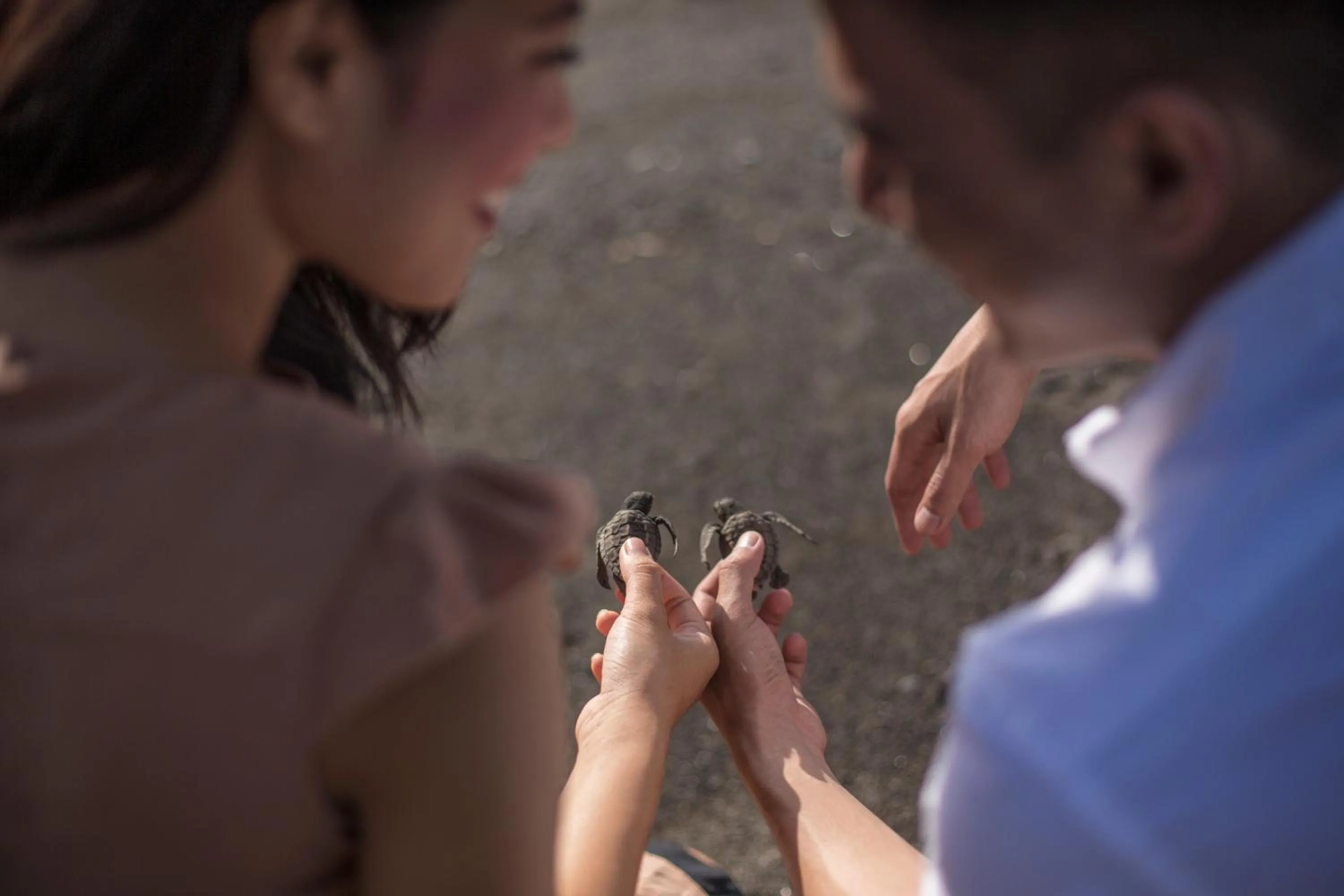 Activities in Jeeva Saba Bali