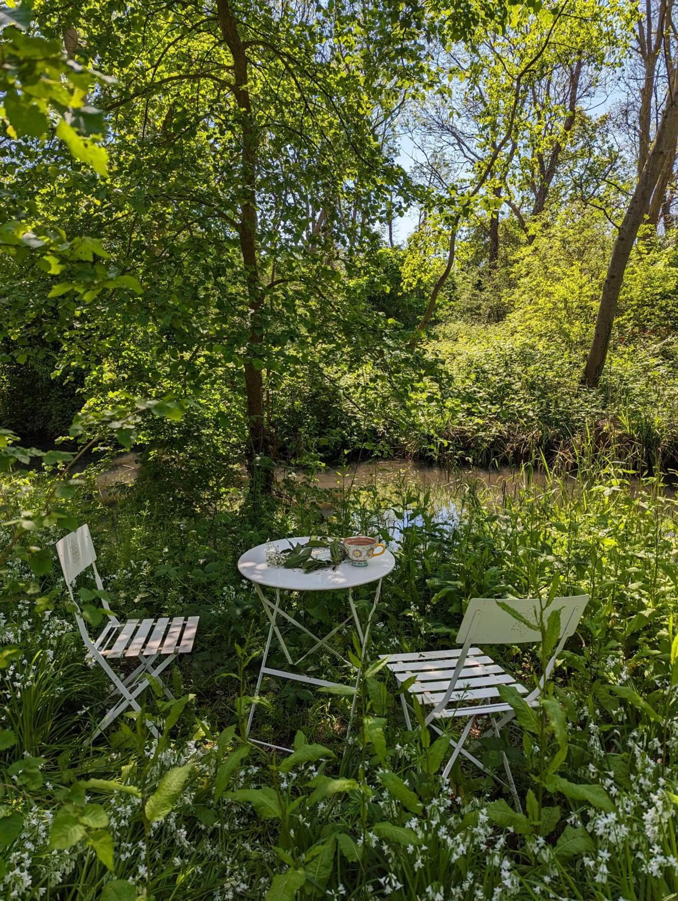 Garden in Old Manor House