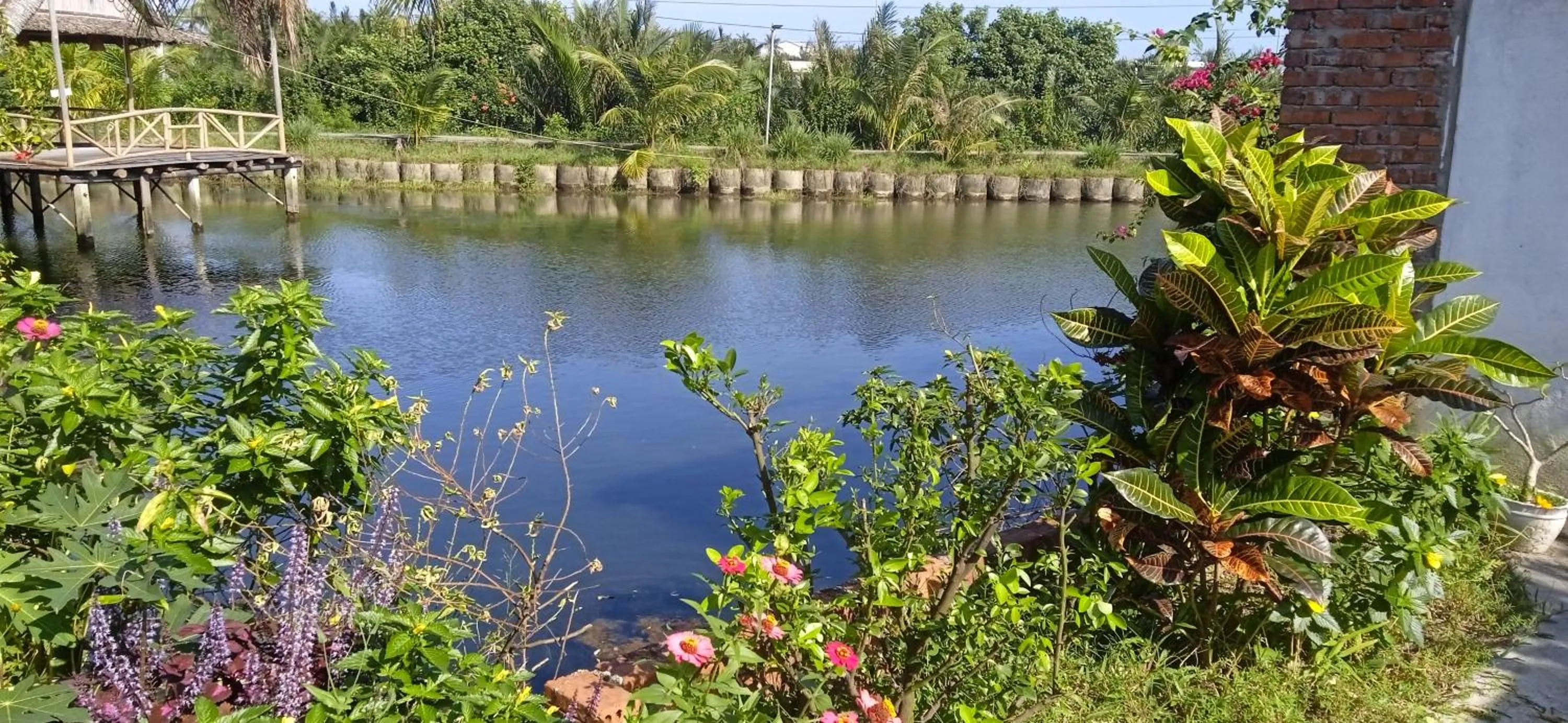 View (from property/room) in Lakeview Villa Homestay