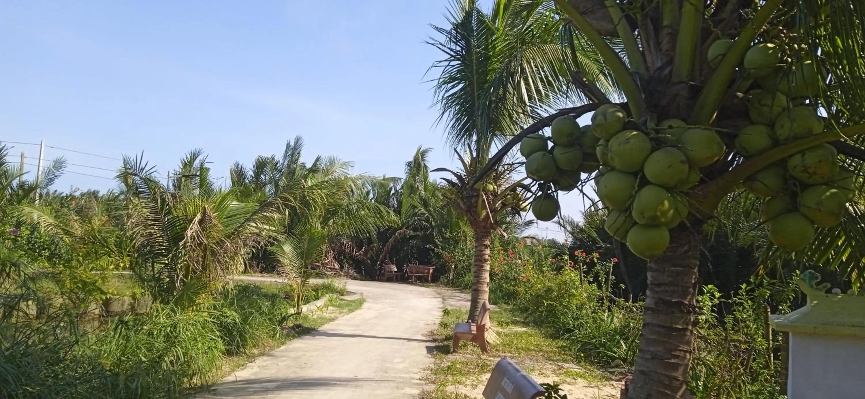 Patio in Lakeview Villa Homestay