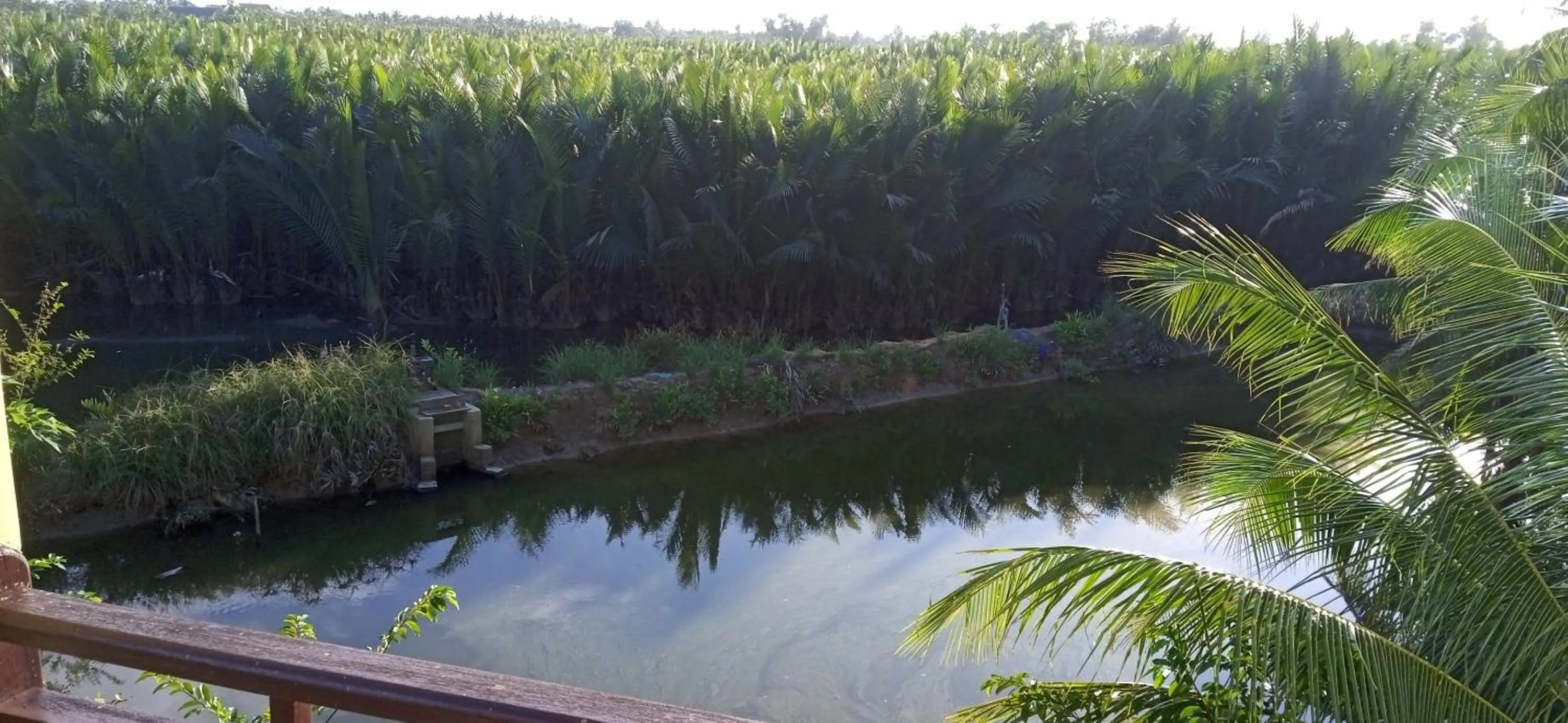 View (from property/room) in Lakeview Villa Homestay