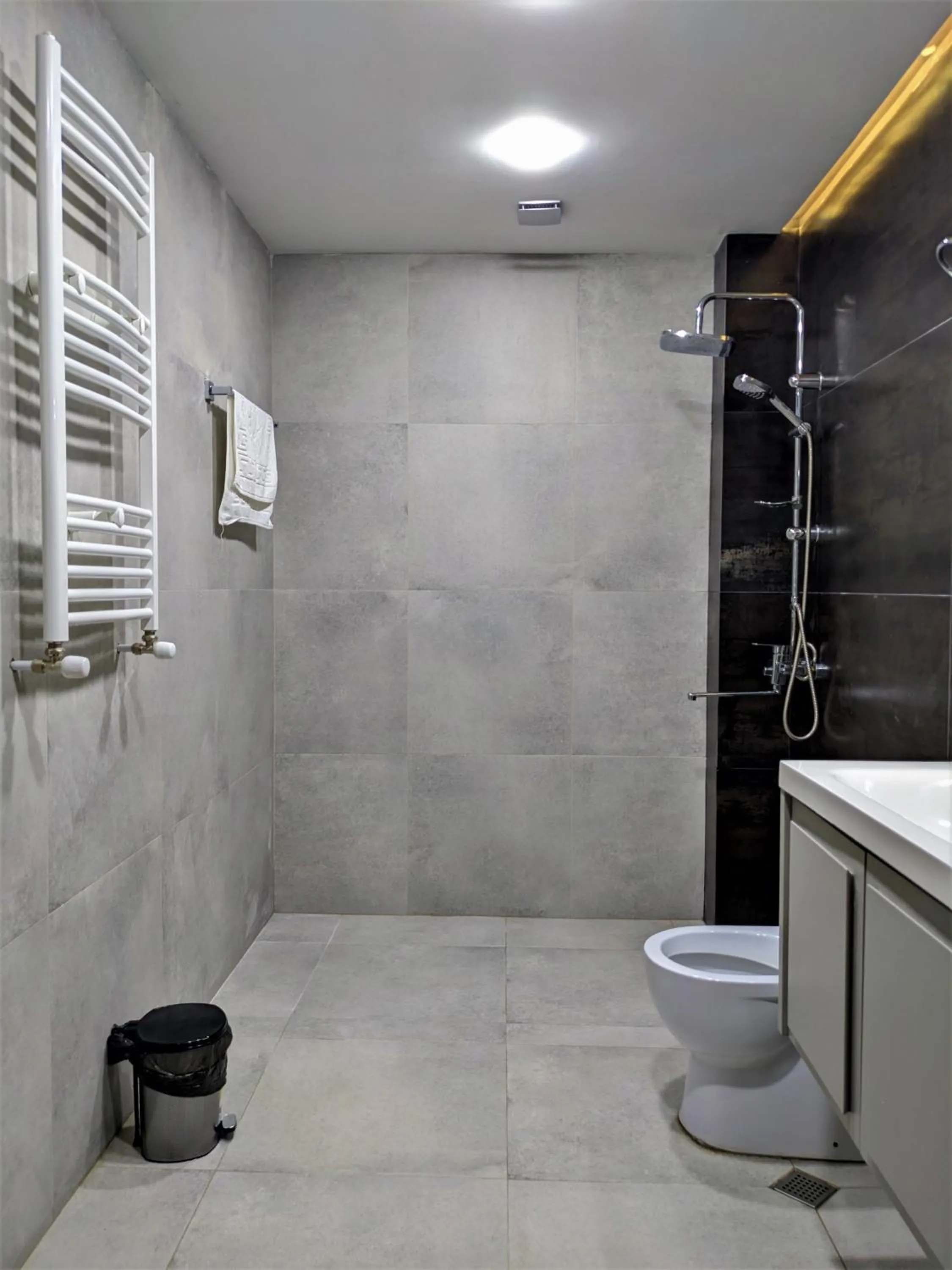 Shower in Milky Way