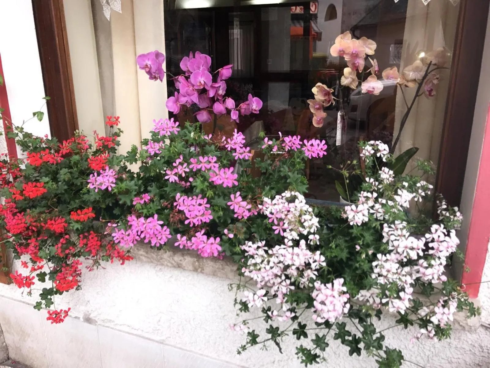 Facade/entrance in Hotel Alle Alpi
