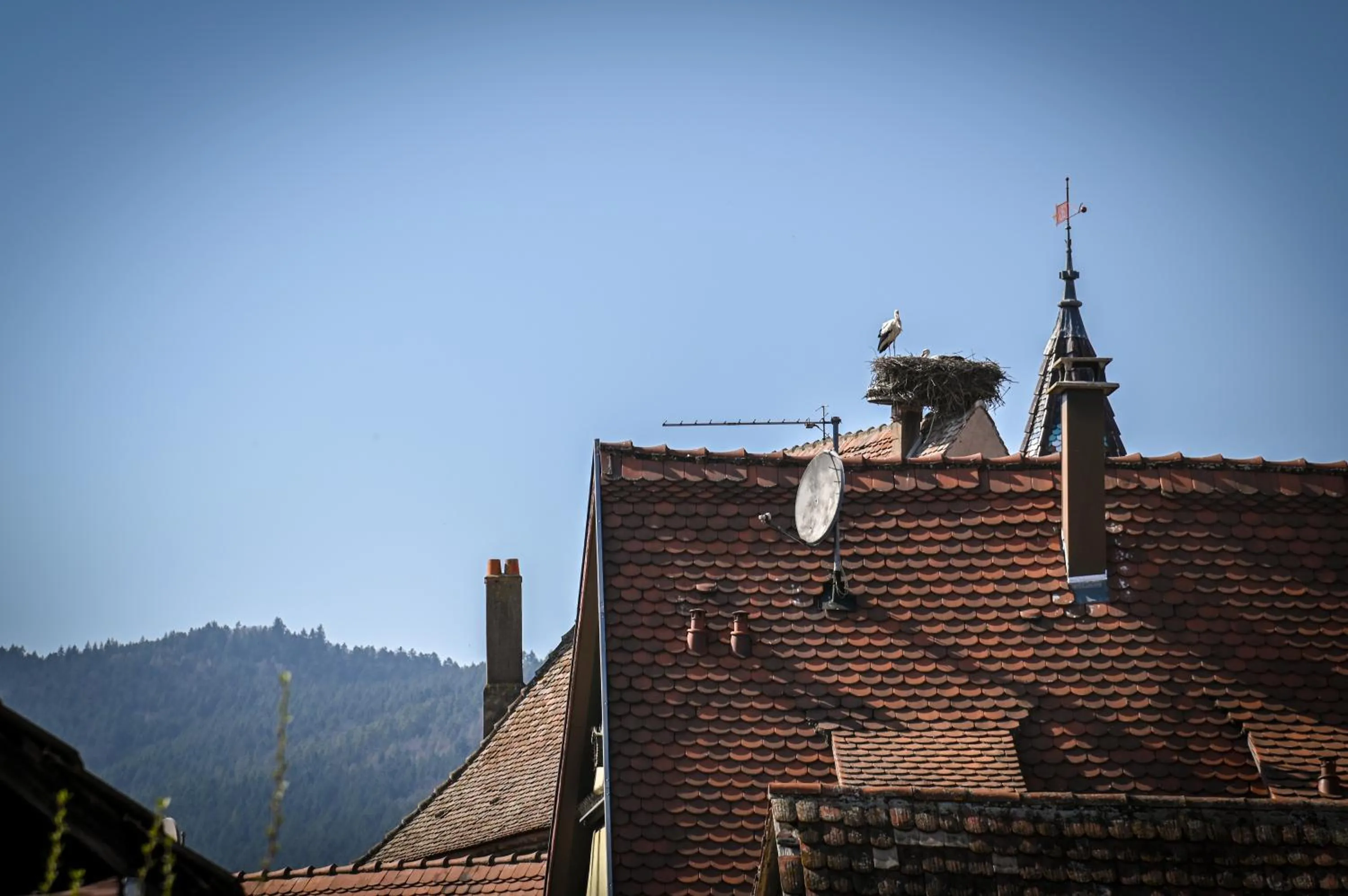 Hameau d'Eguisheim