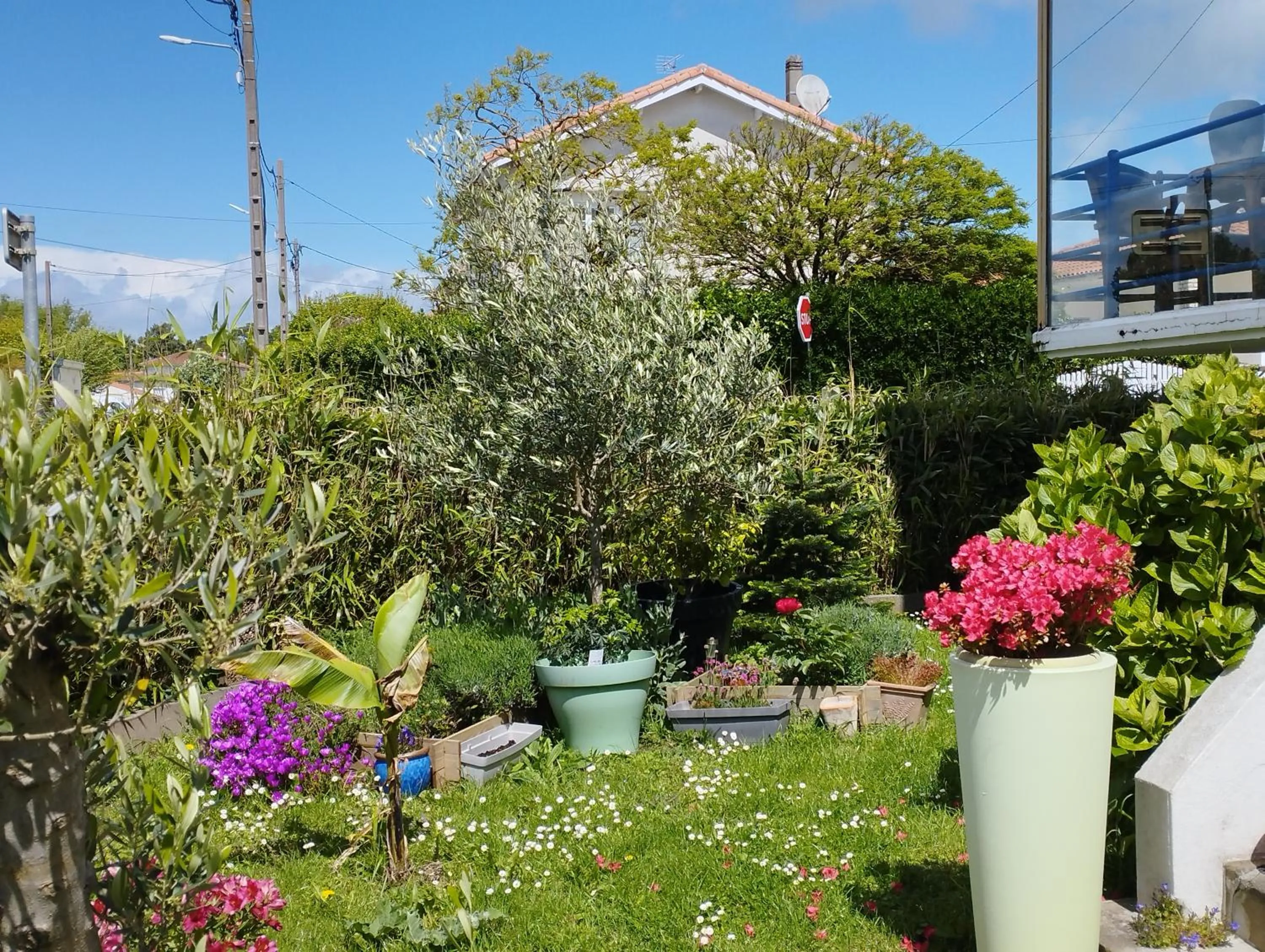 Garden in Villa Saint-Germain