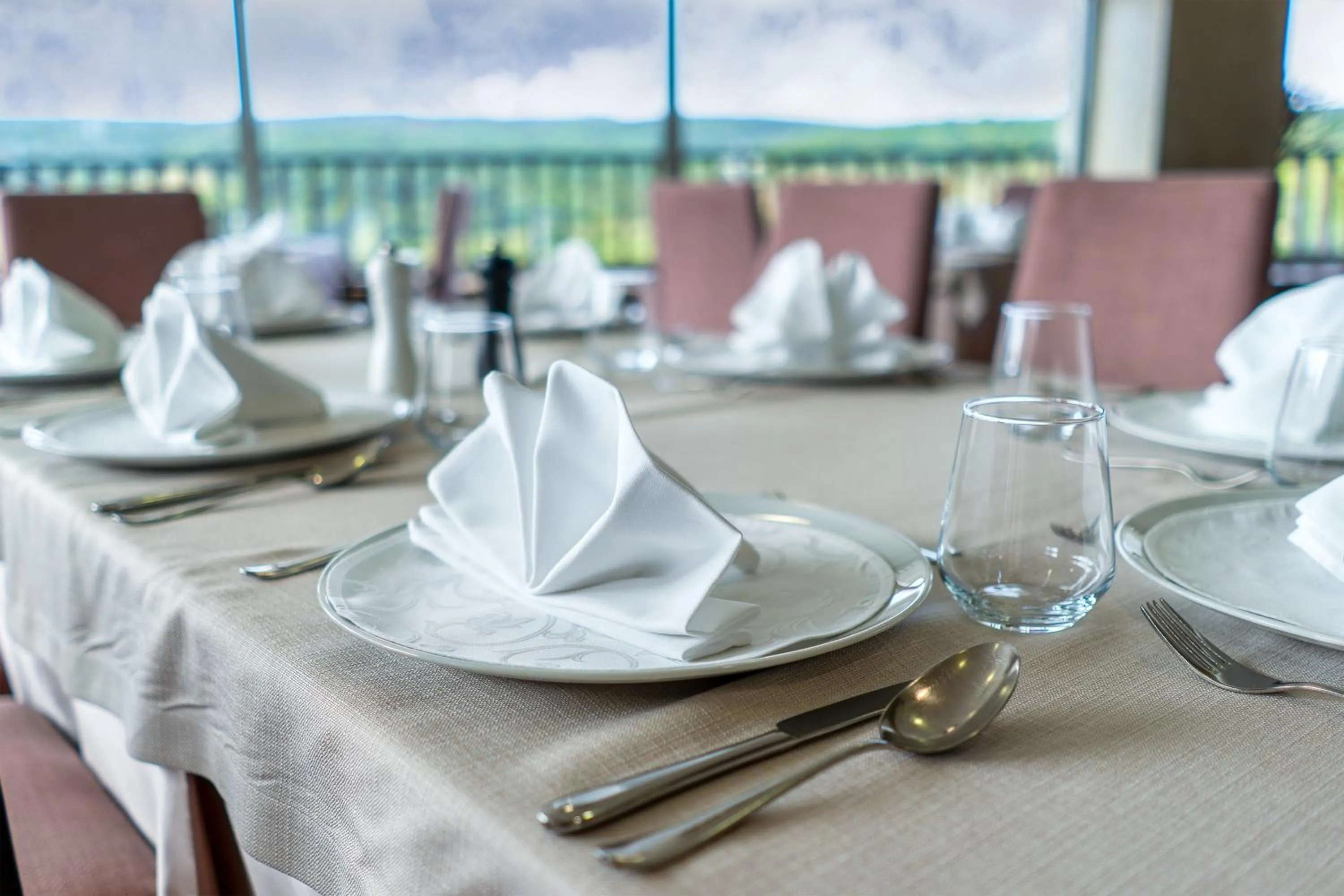 Restaurant/places to eat in Hotel Vinice Hnanice