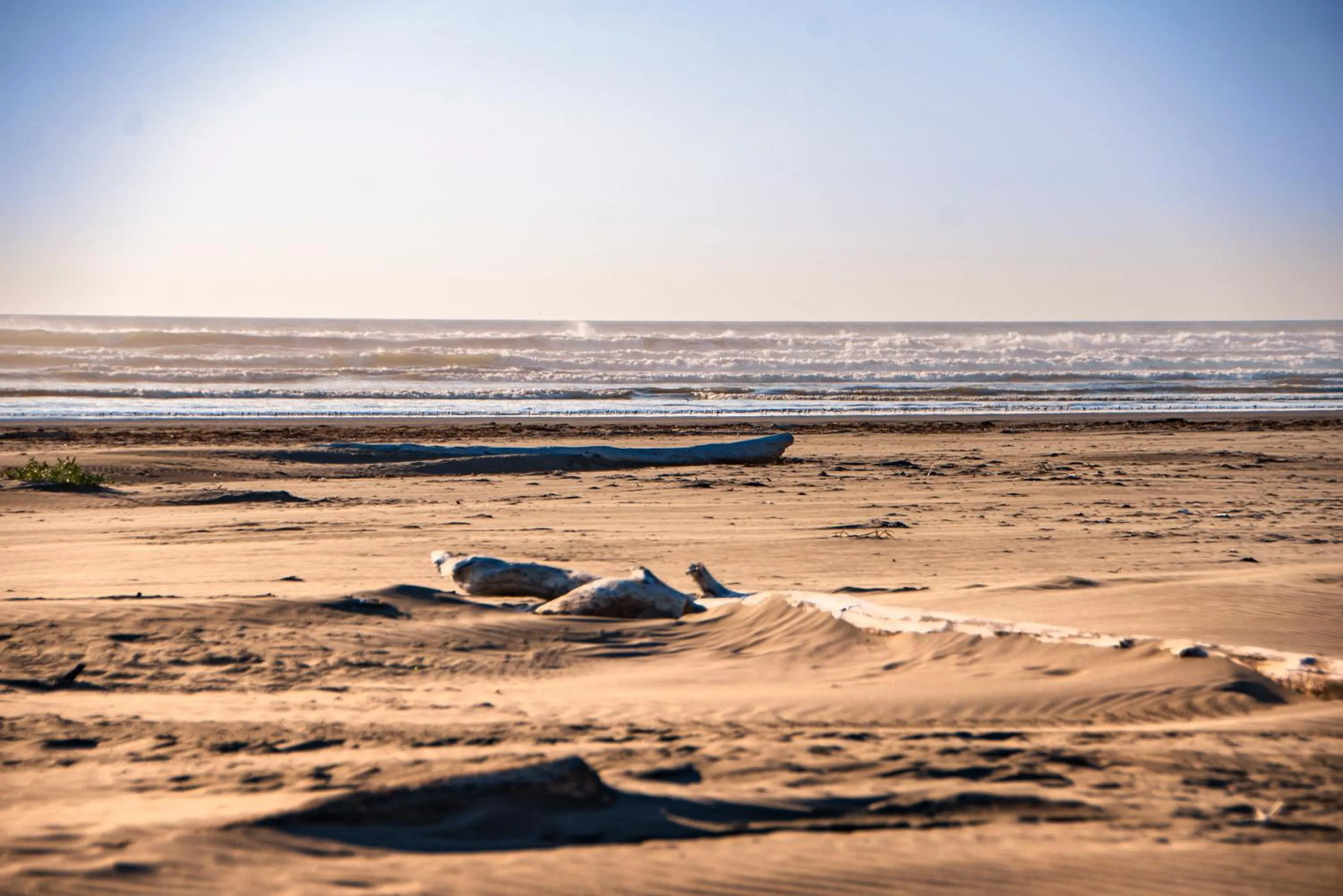 Natural landscape in Surfcrest Resort