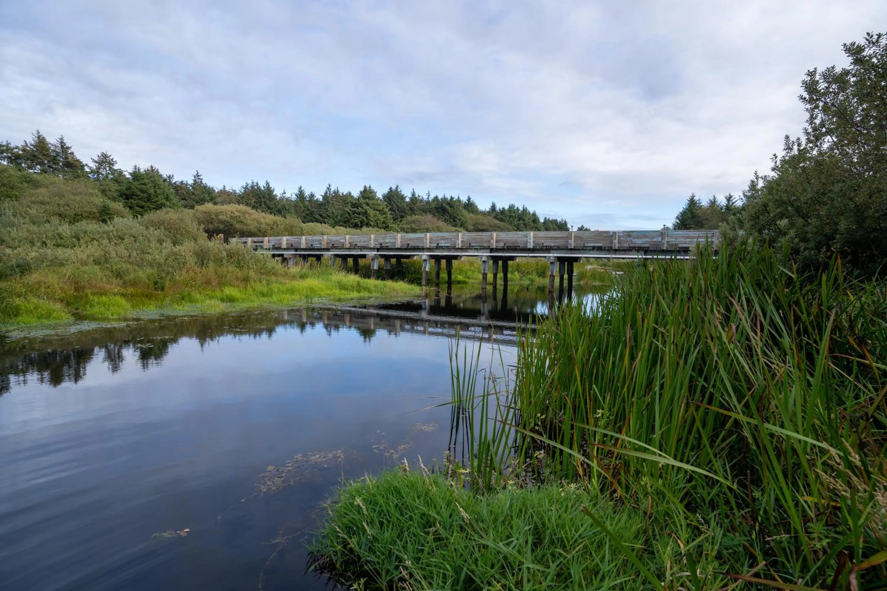 Natural landscape in Surfcrest Resort