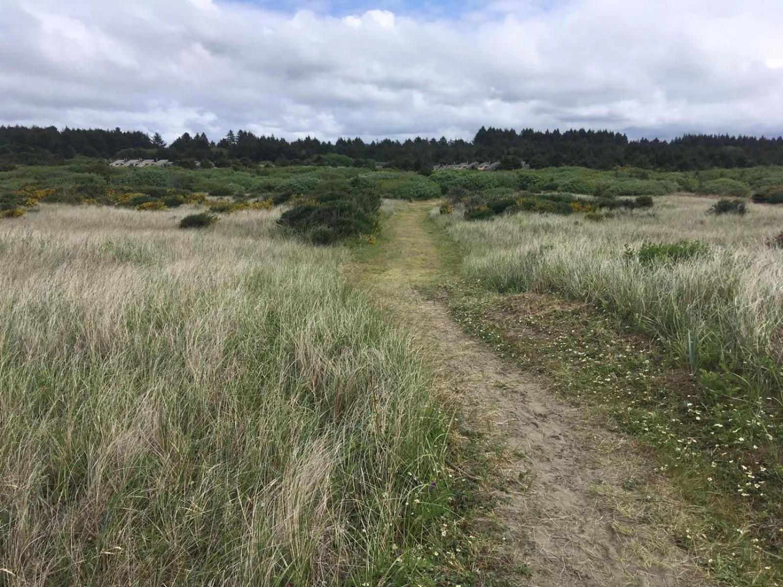 Natural landscape in Surfcrest Resort