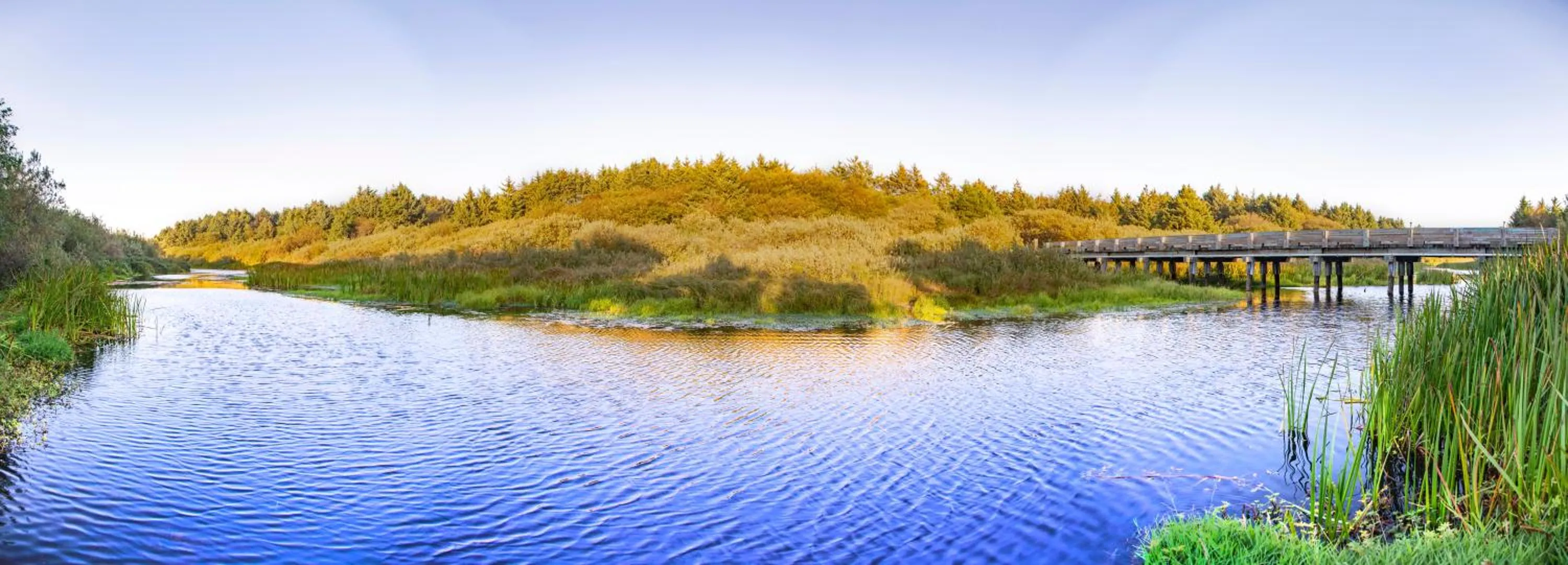 Natural landscape in Surfcrest Resort