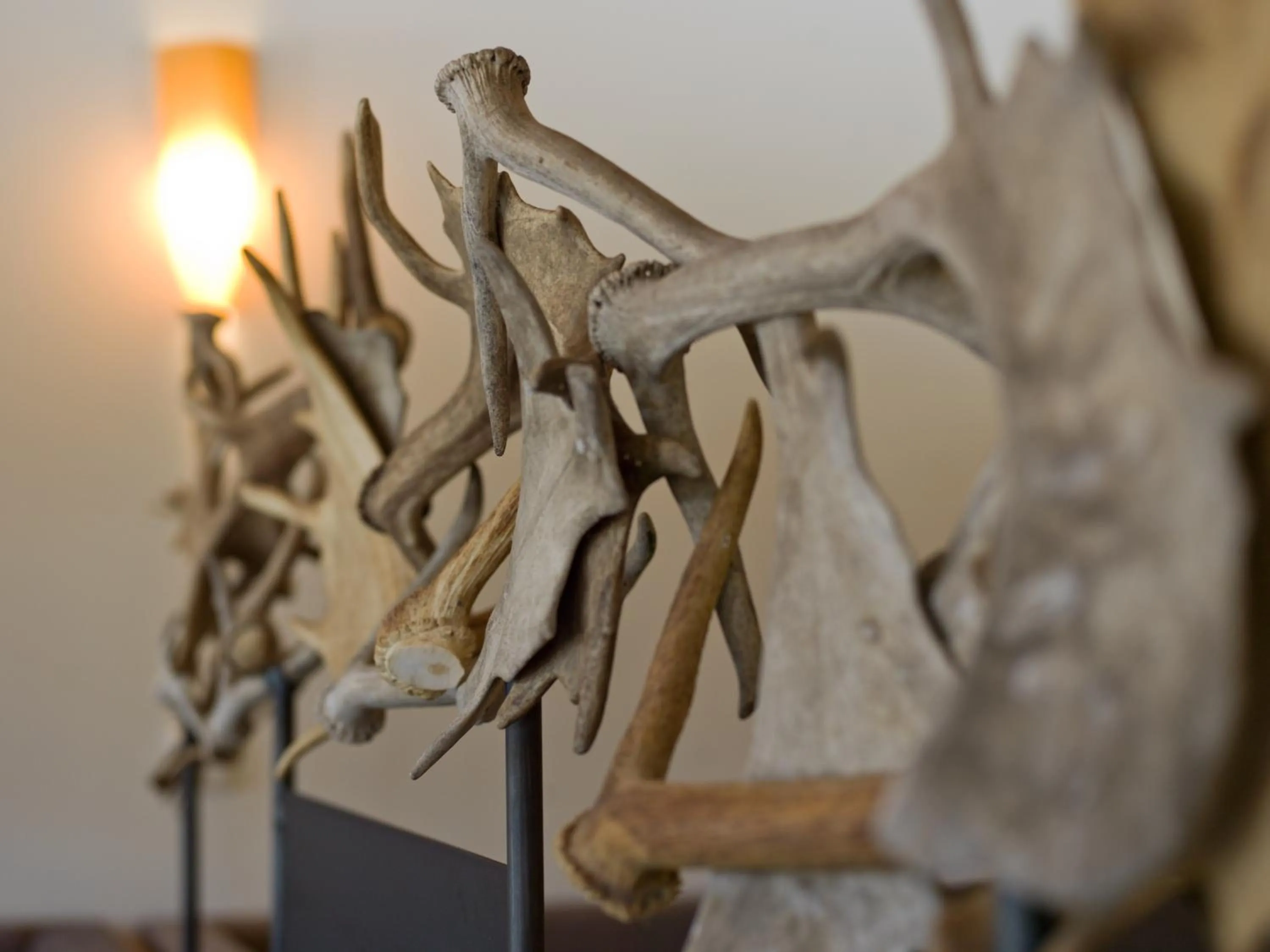 Food and drinks in Landhotel Moorhof