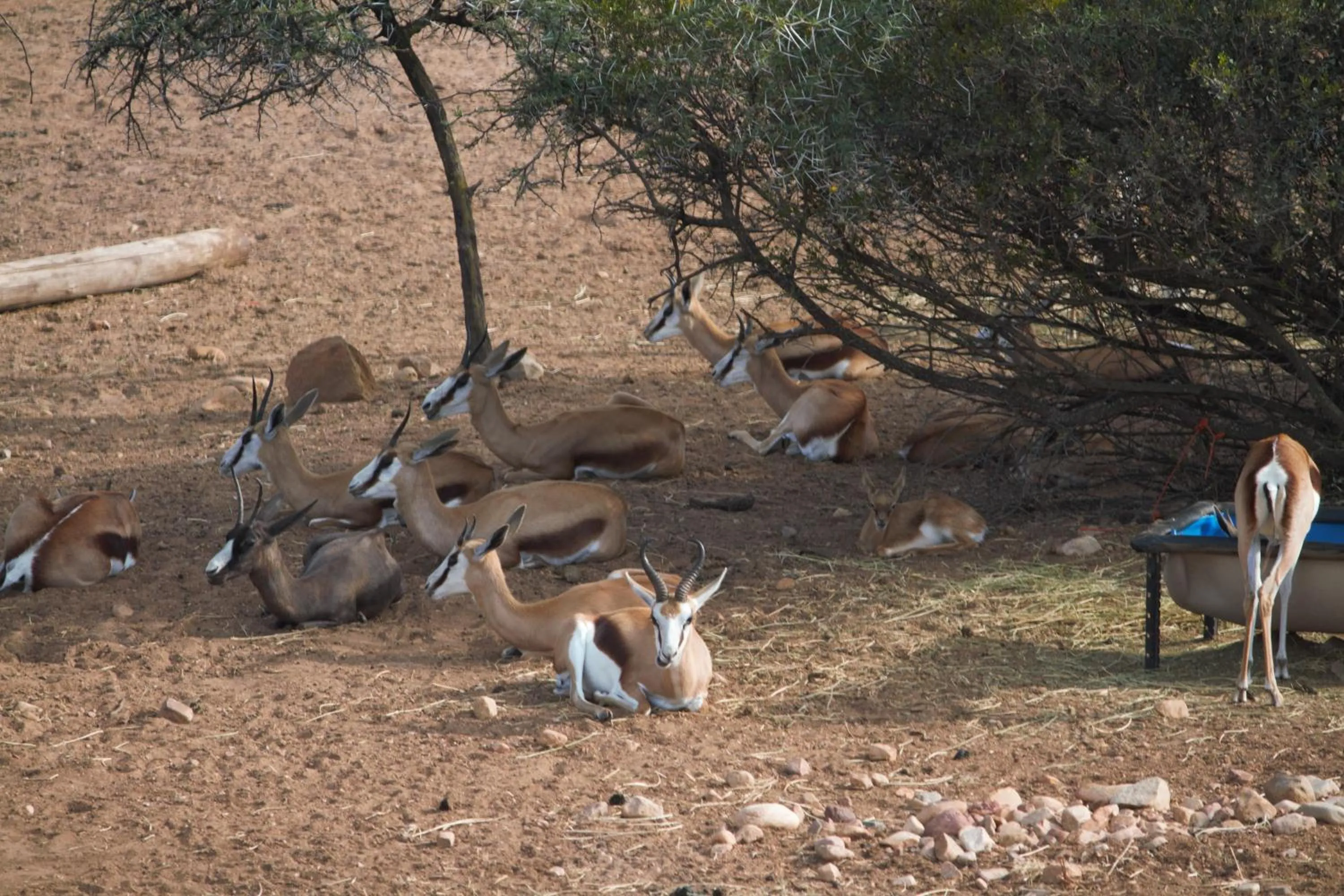 Day in Zwartberg View Mountain Lodge