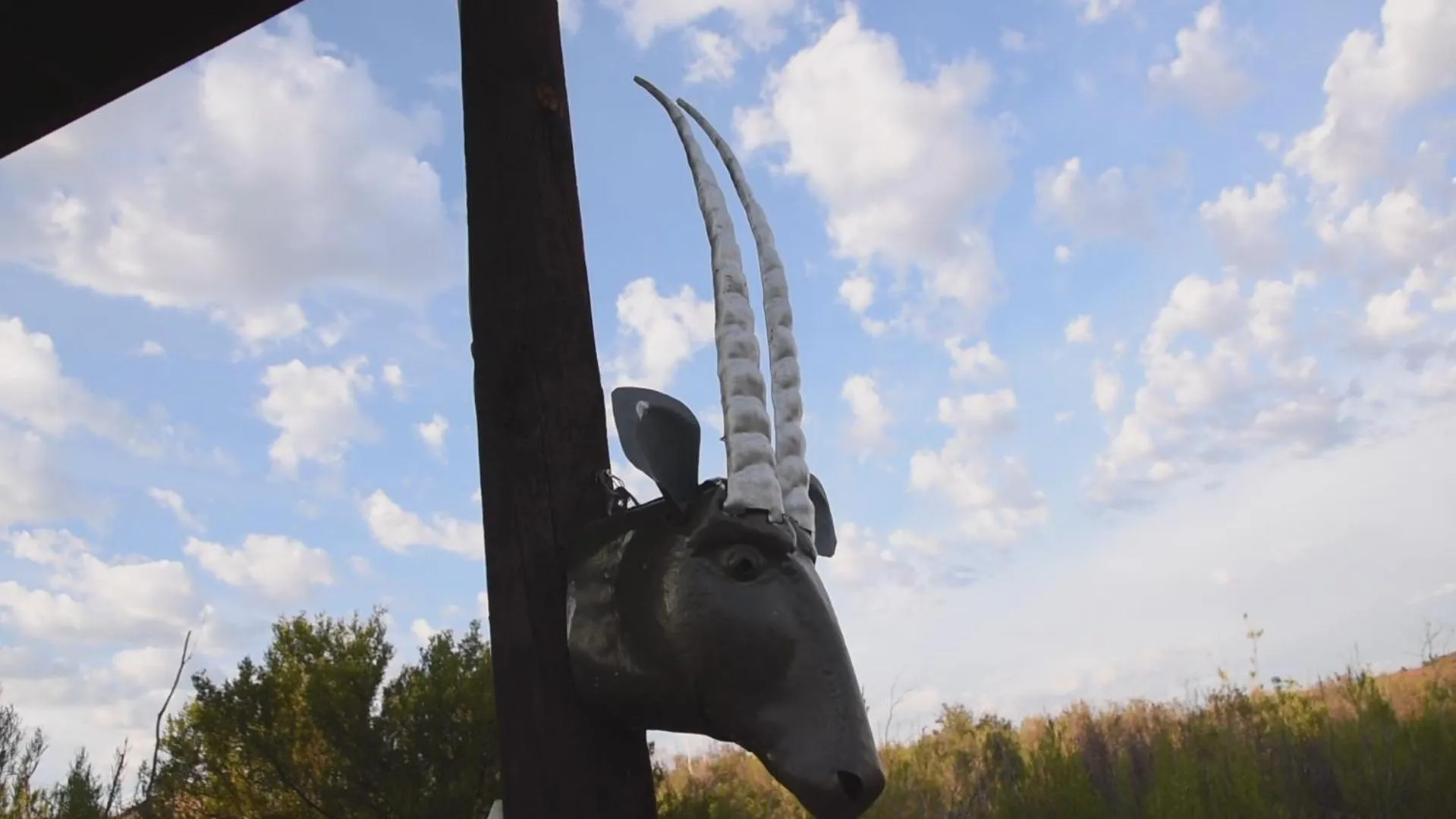 Decorative detail in Zwartberg View Mountain Lodge