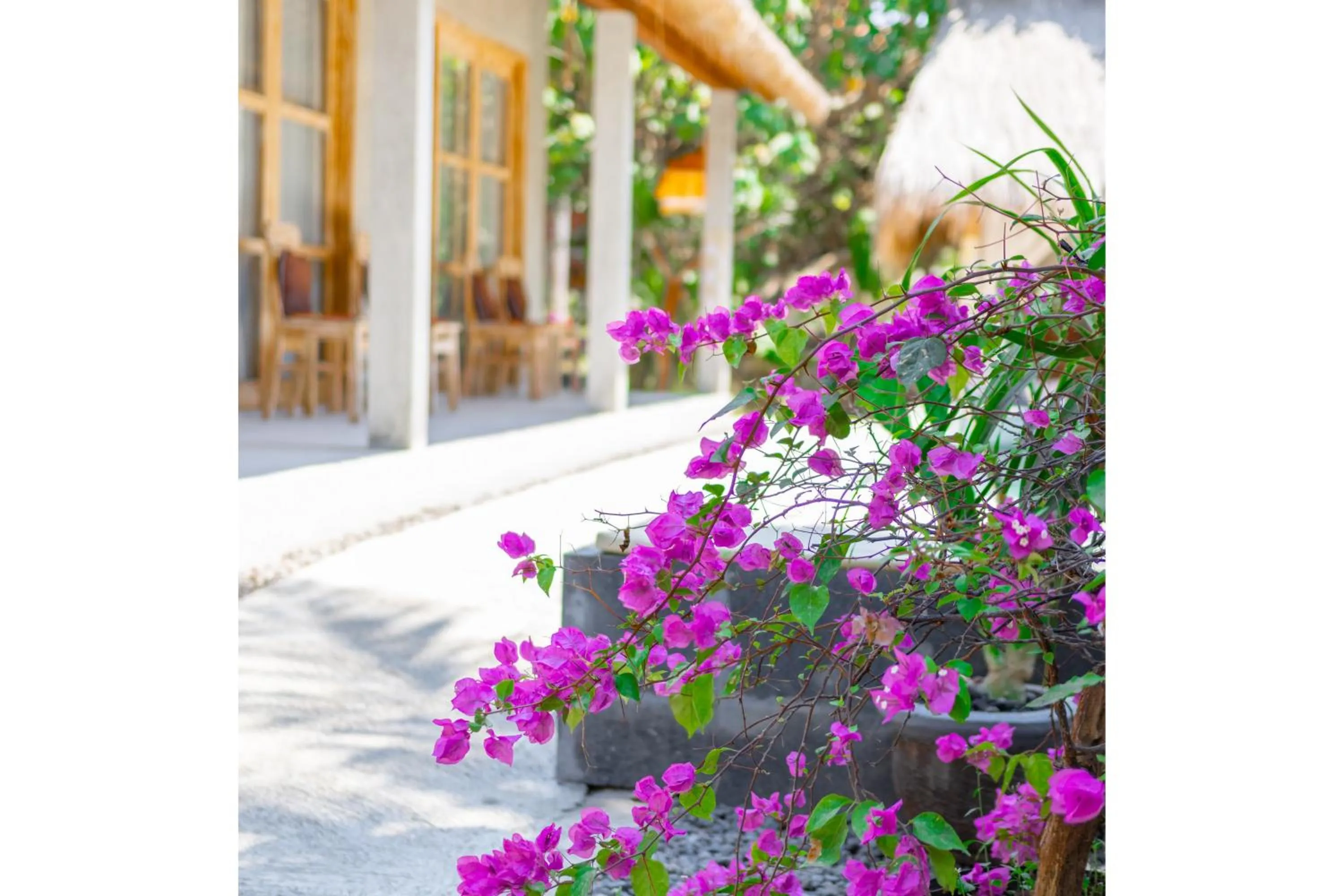 Property building in Golden Garuda Cottages