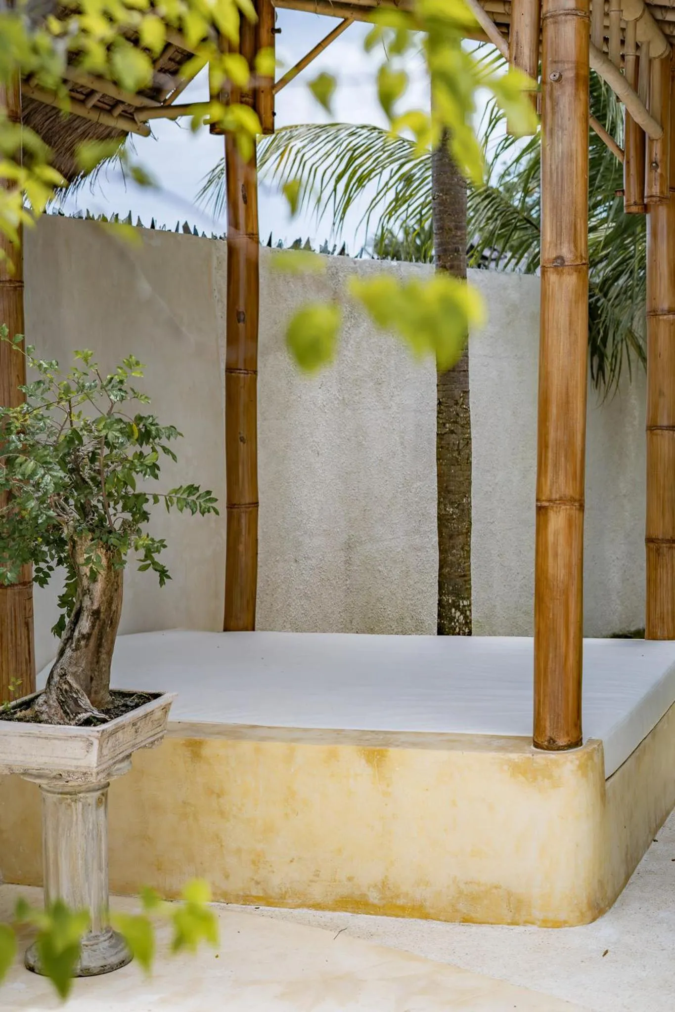 Patio in Rumah Simba