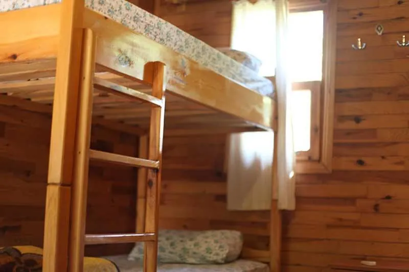 Bayrams Tree Houses