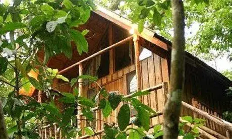 Bayrams Tree Houses Bayrams Tree Houses