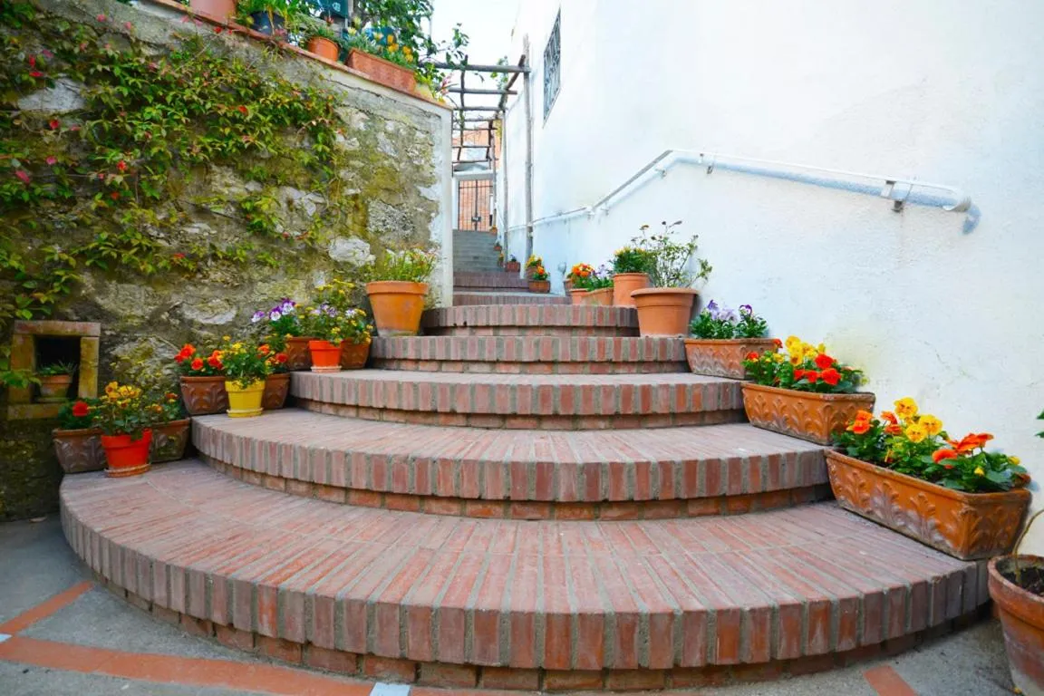 Facade/entrance in La Musa