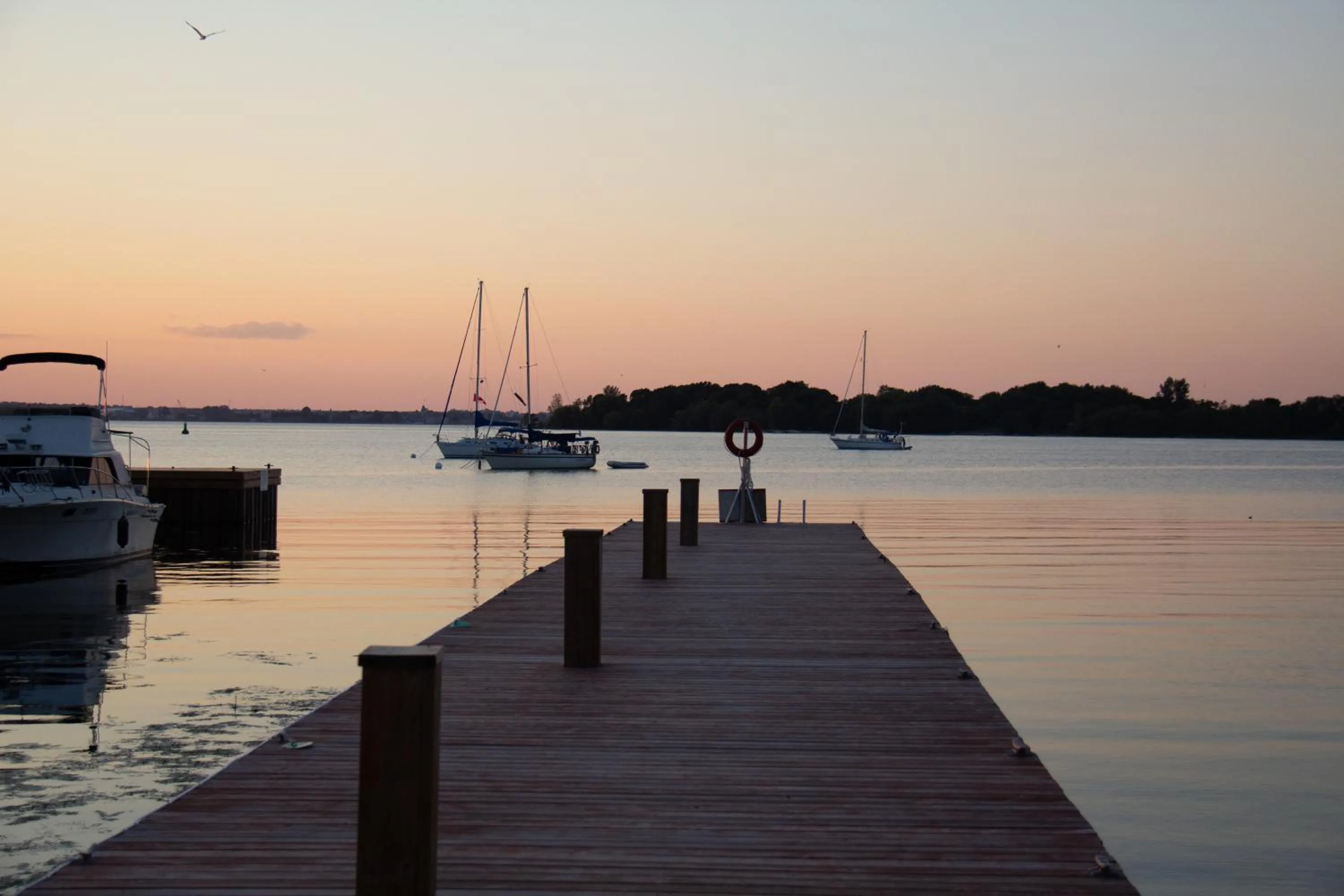Natural landscape in Hotel Wolfe Island