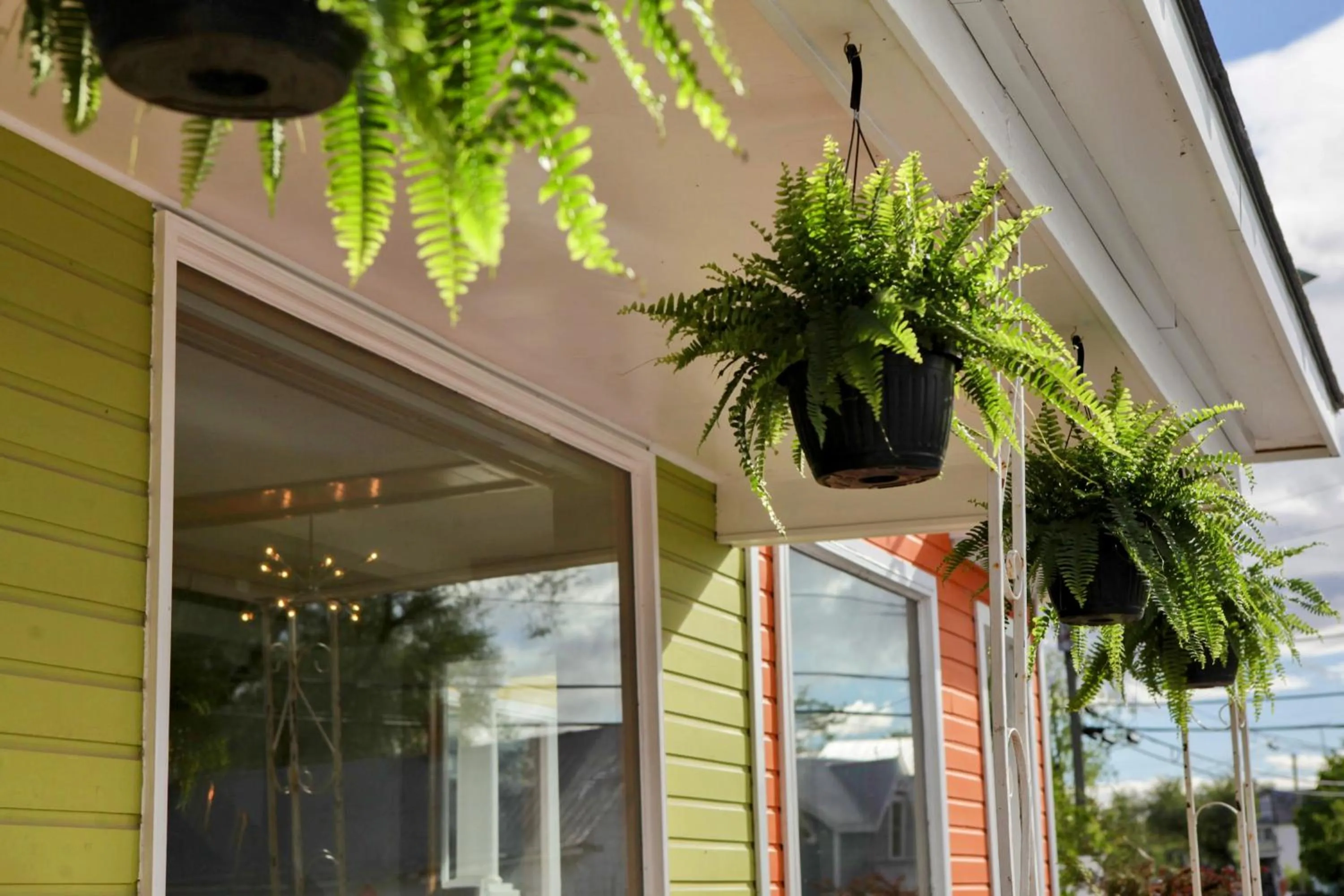 Property building in Hotel Wolfe Island