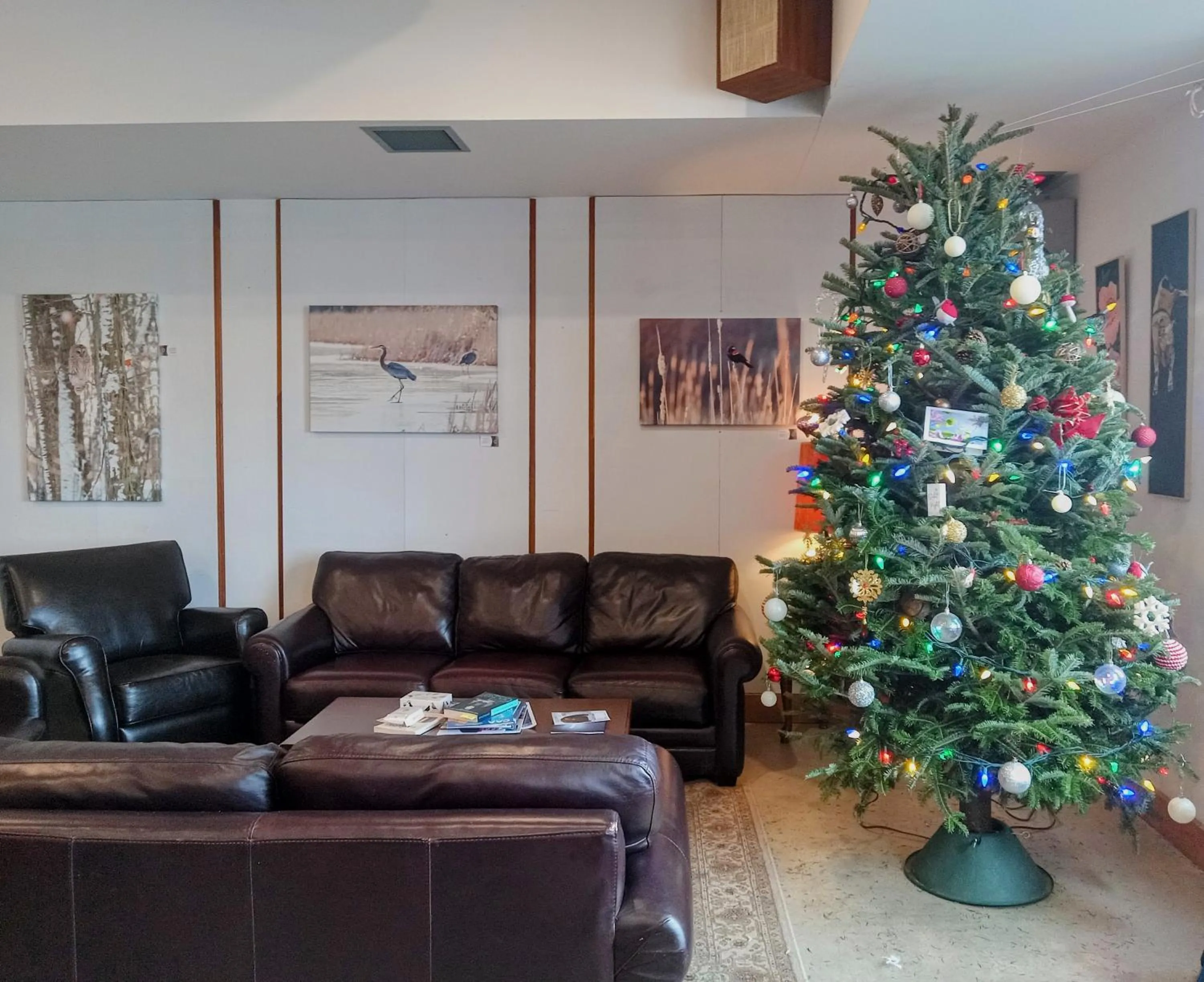 Property building in Hotel Wolfe Island