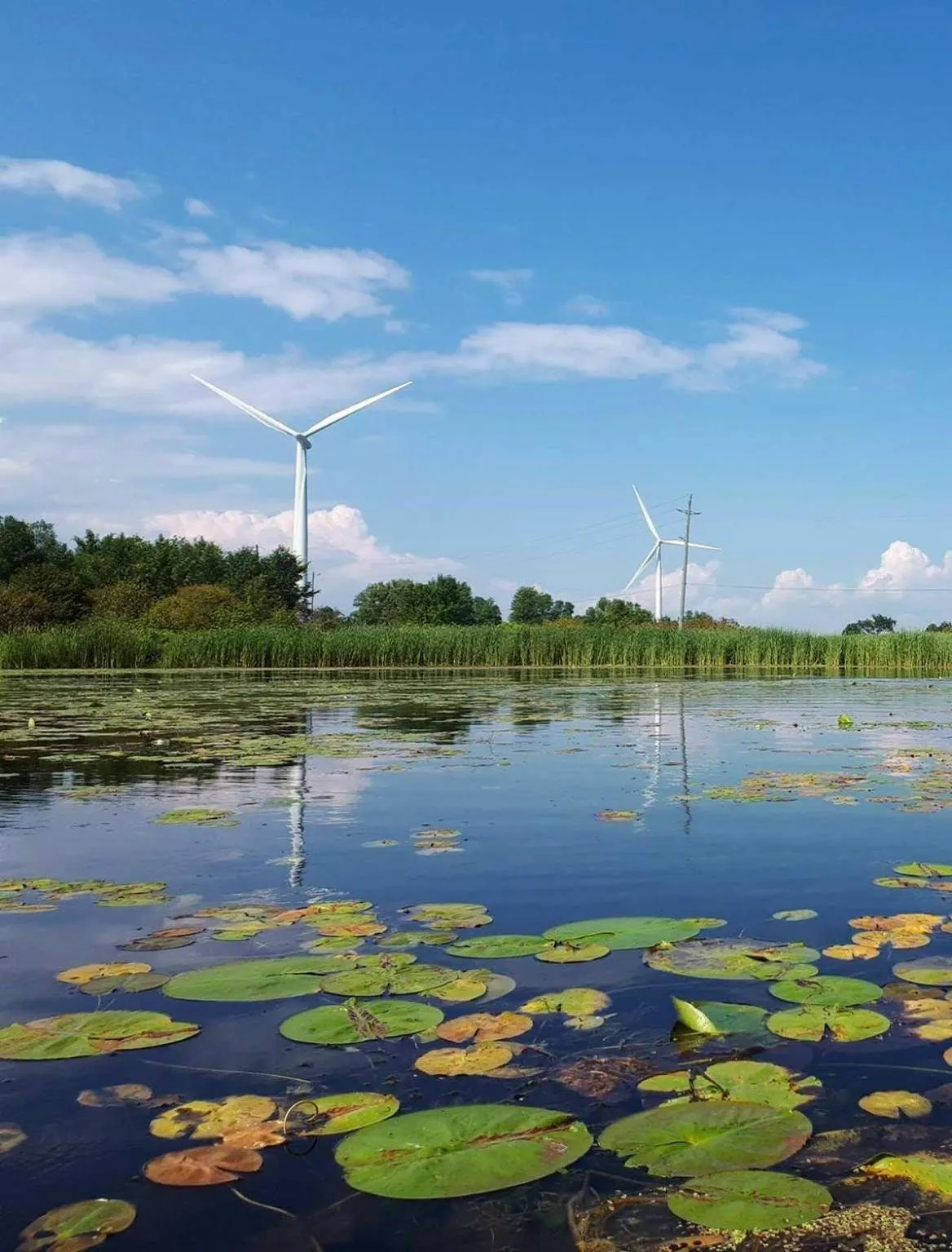 Nearby landmark in Hotel Wolfe Island