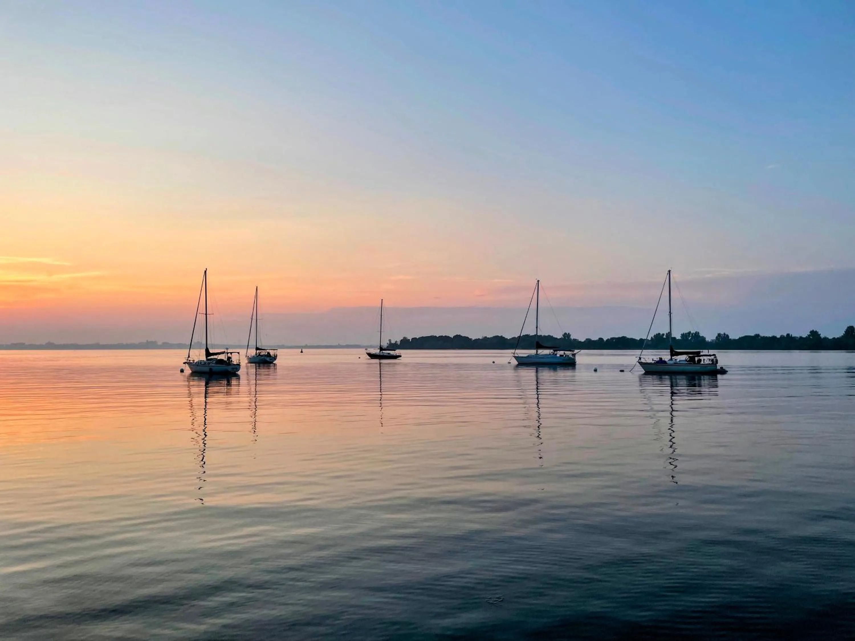 Natural landscape in Hotel Wolfe Island