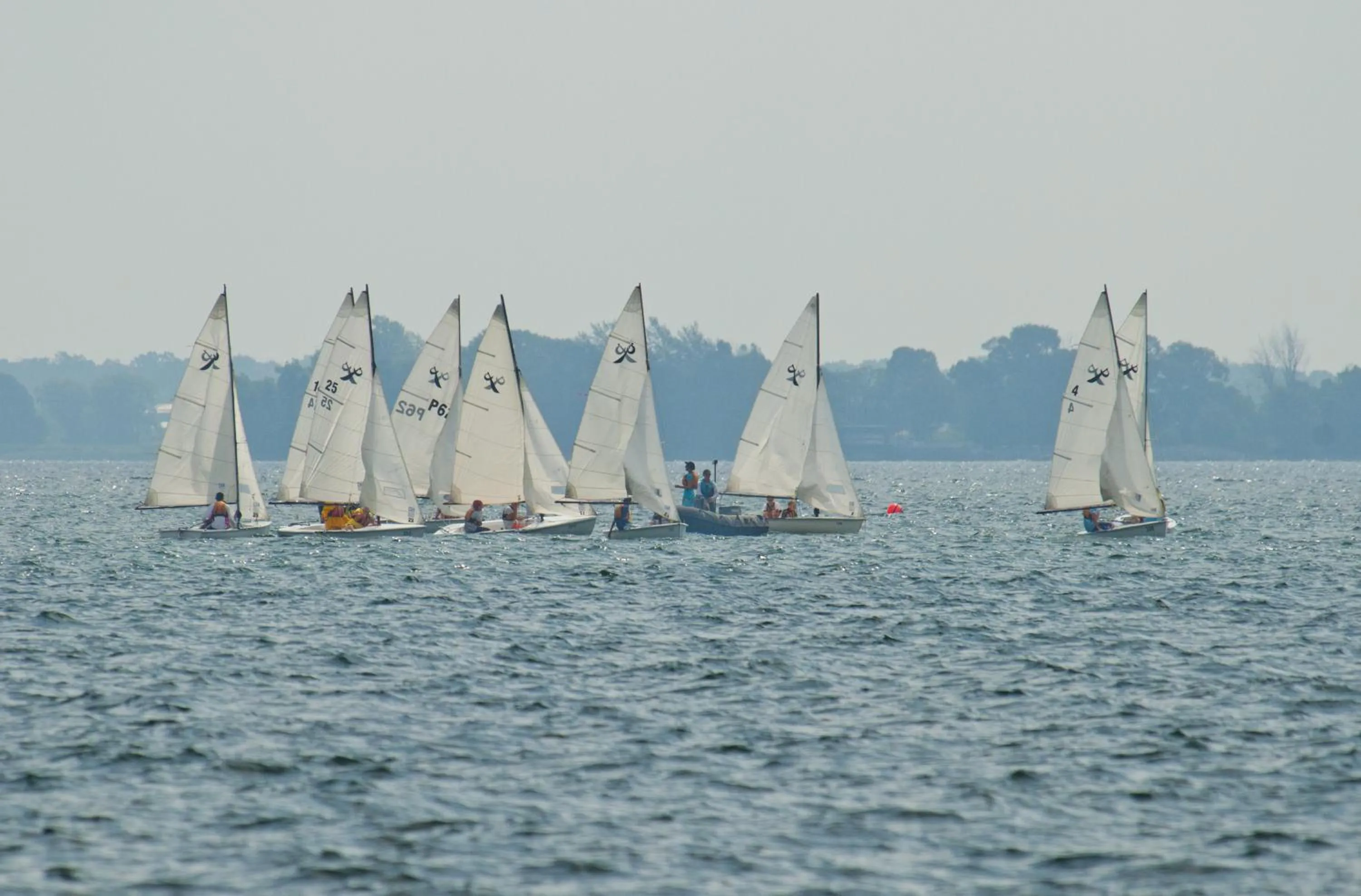 Day in Hotel Wolfe Island