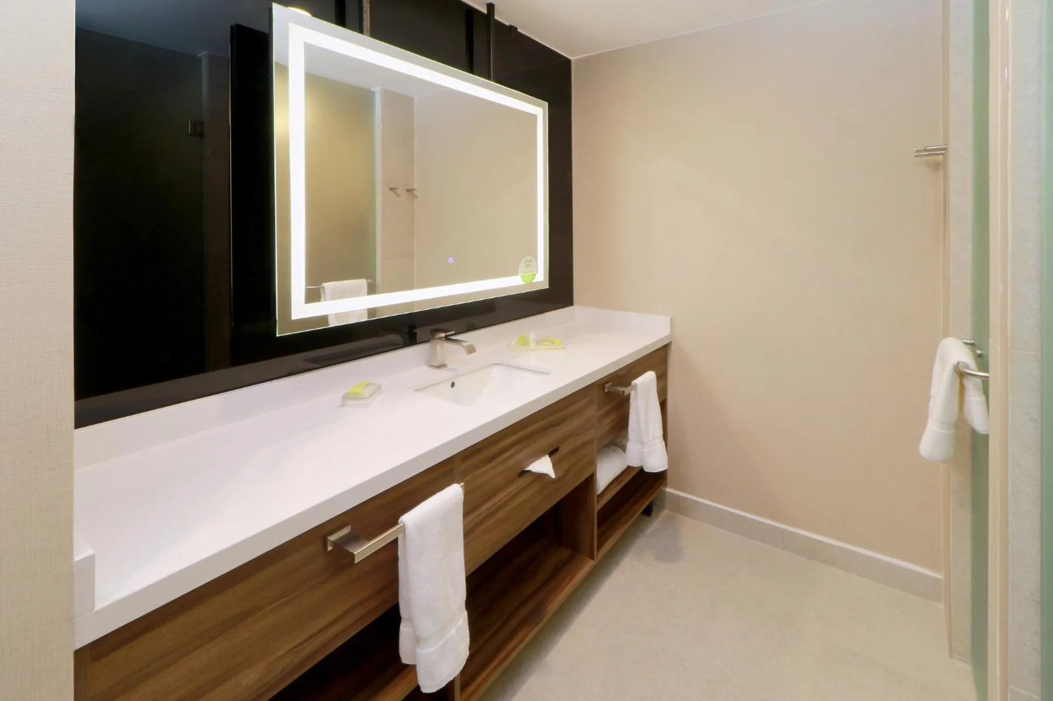 Bathroom in Holiday Inn & Suites - Mexico Felipe Angeles Airport by IHG